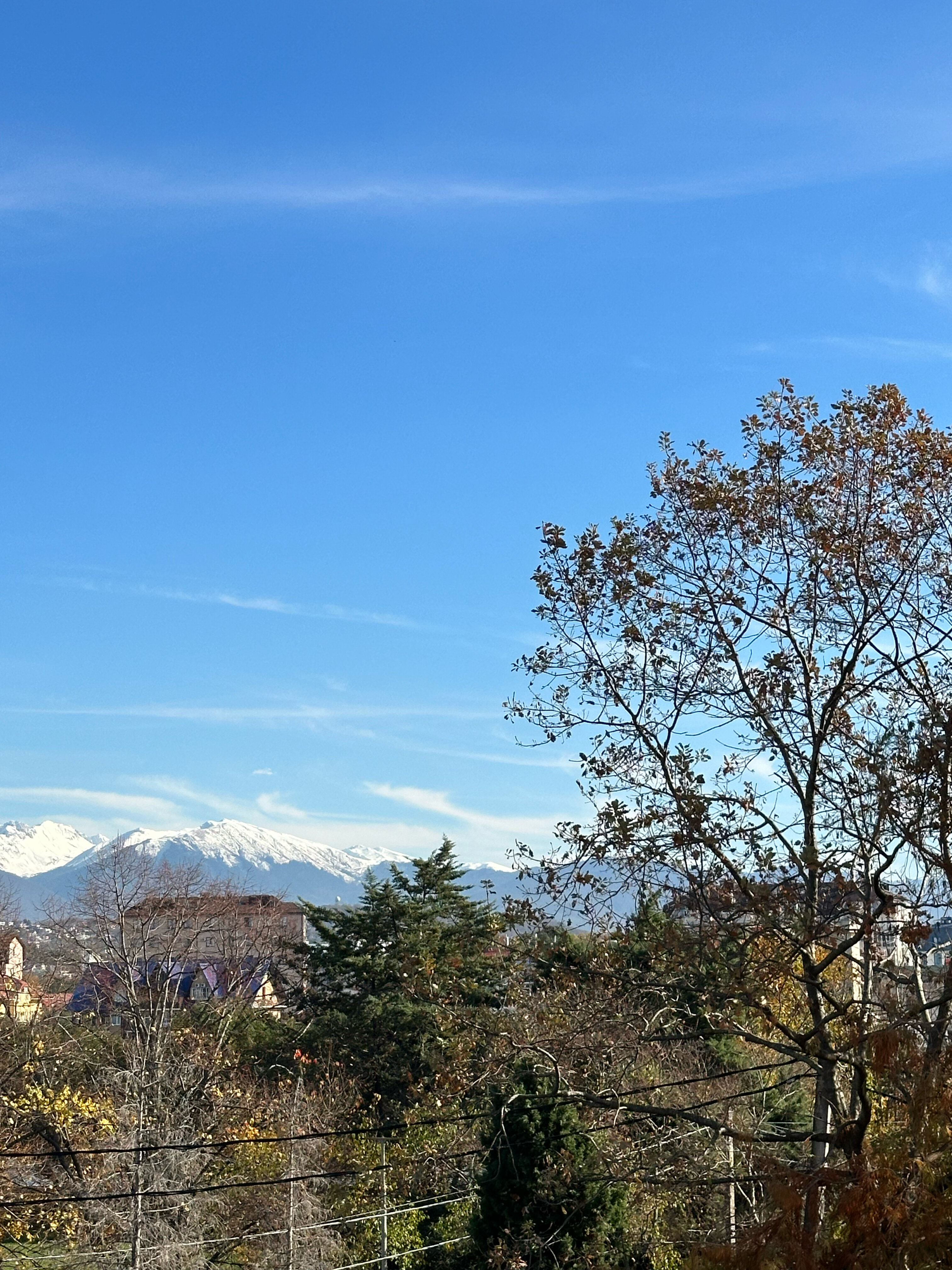 Фото Верона