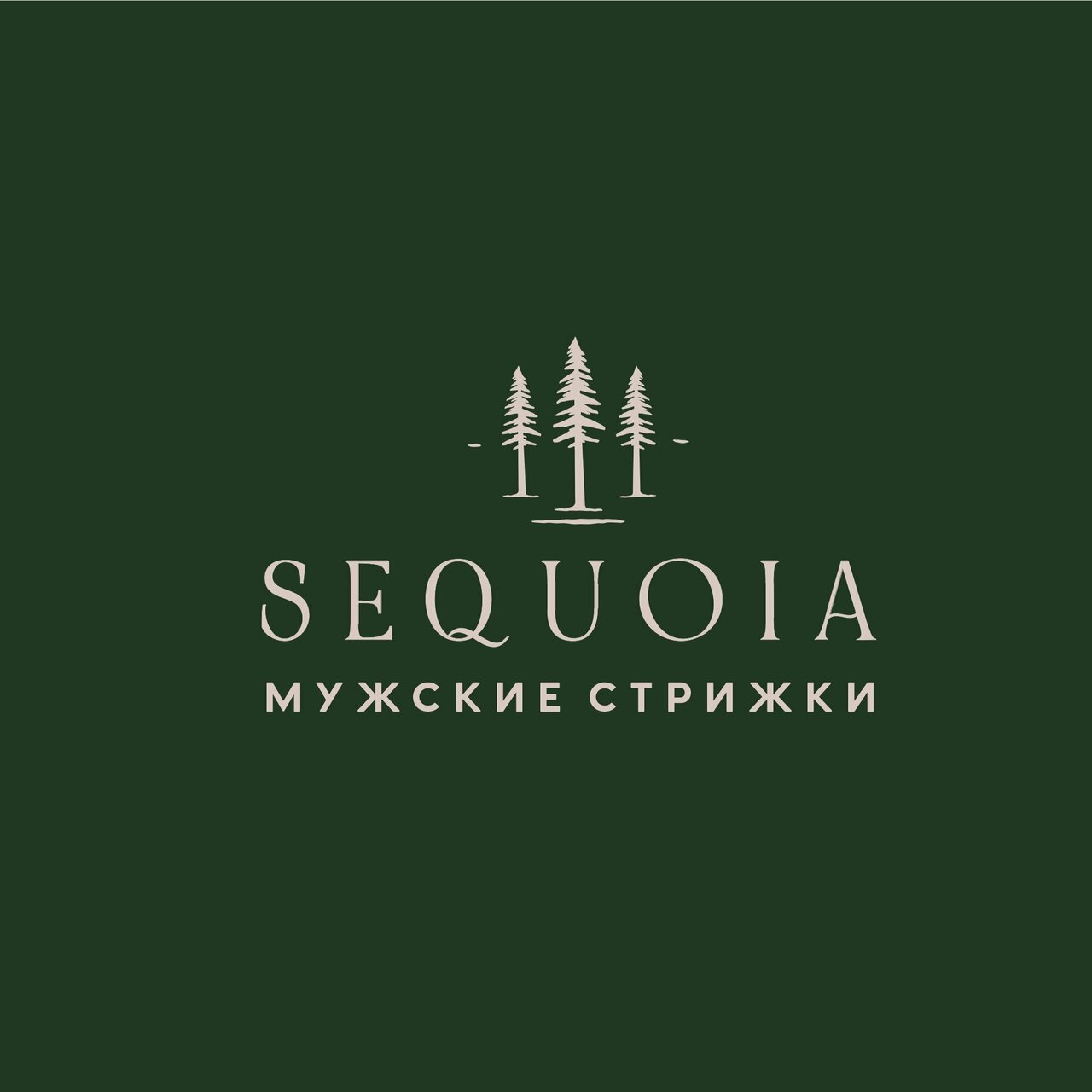 Sequoia