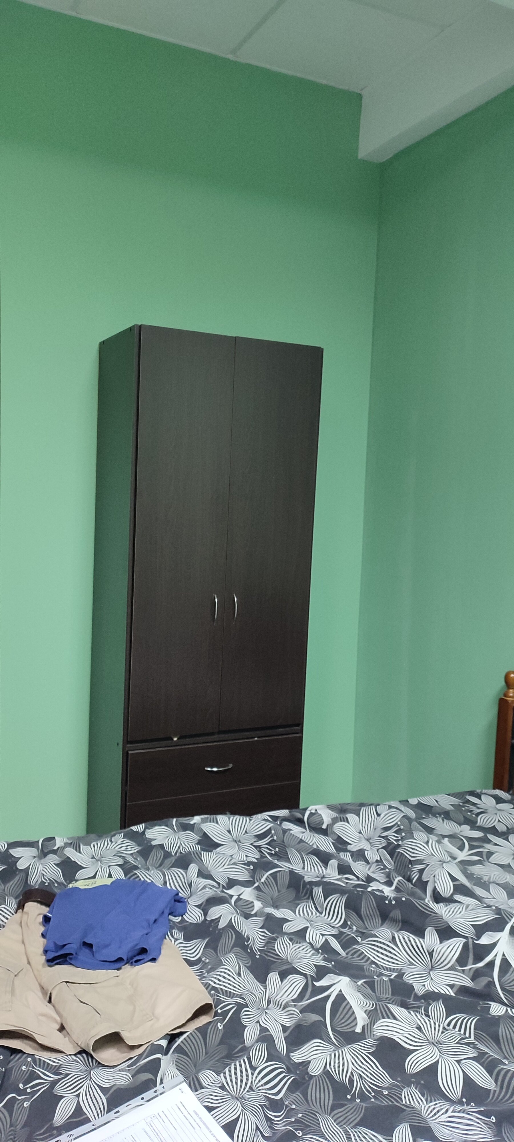 Фото Самарская