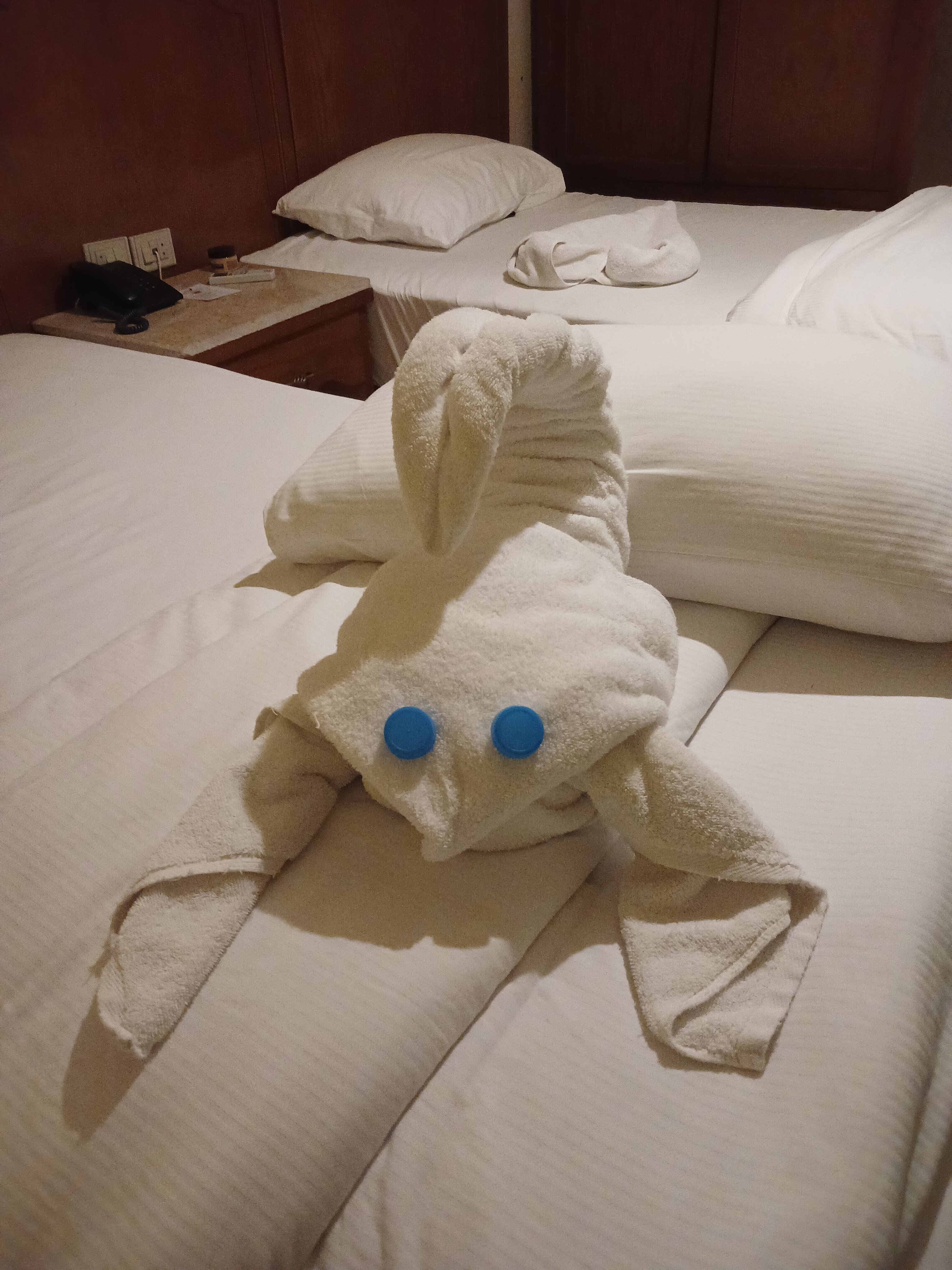 Фото Albatros Sharm Resort