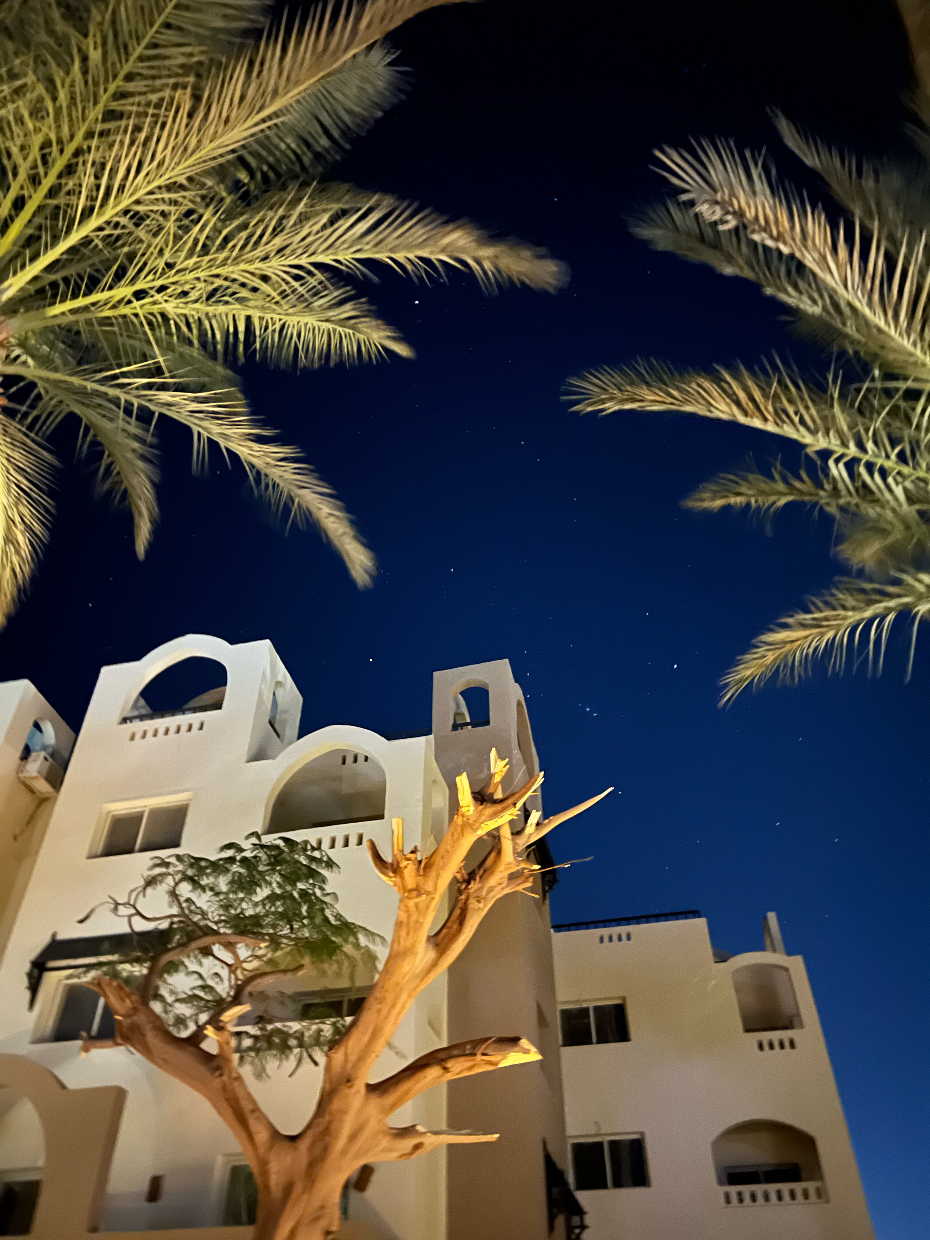 Фото El Karma Aqua Beach Resort