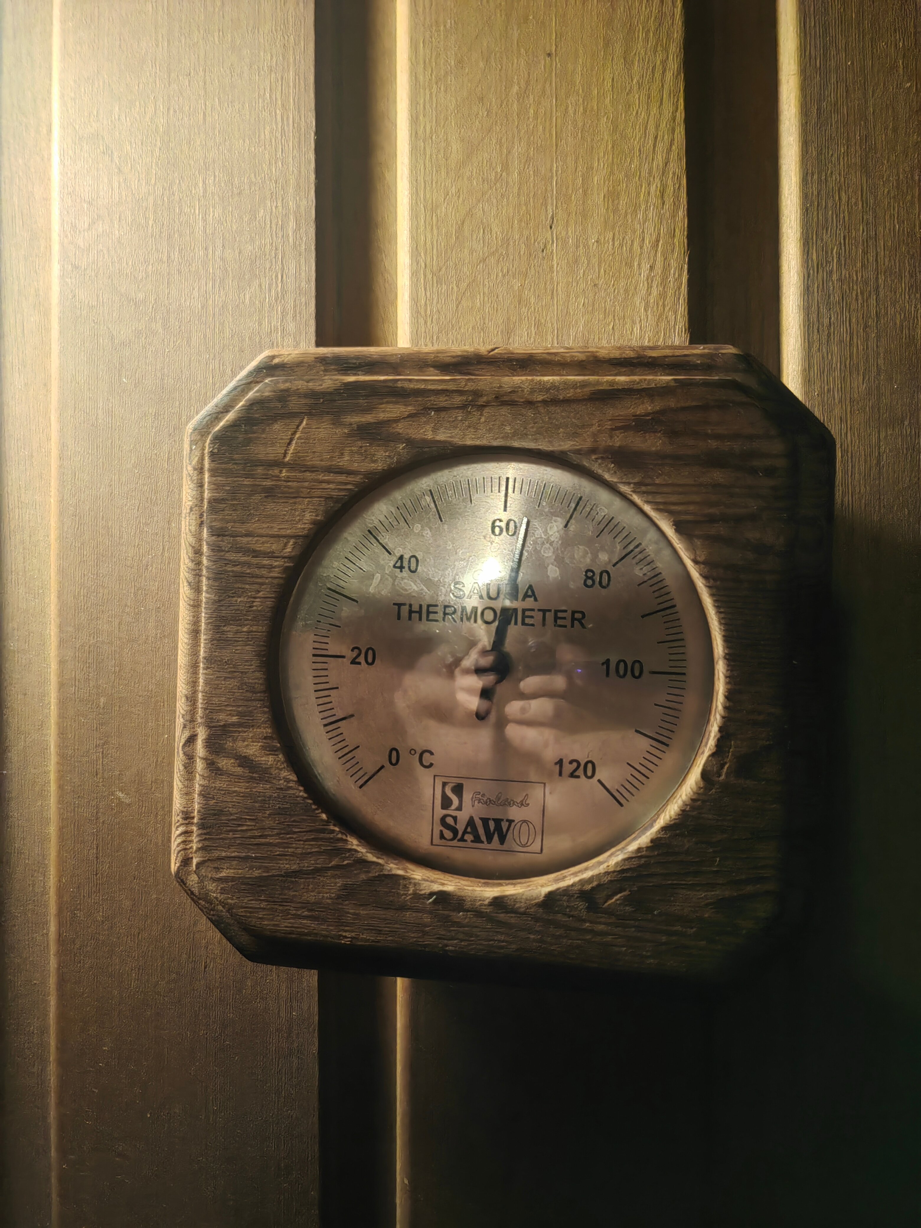 Фото На Сайме