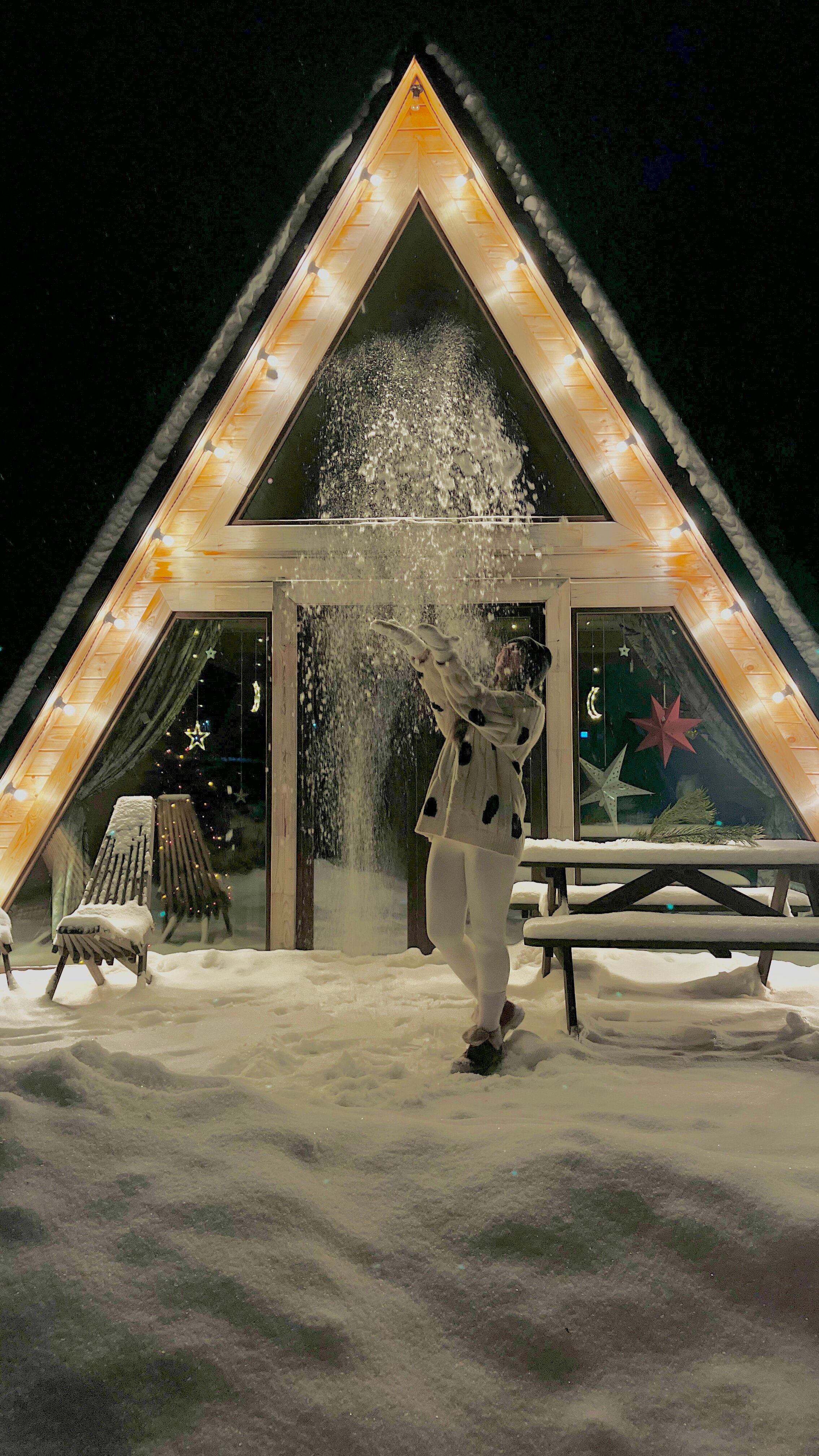 Фото Дом грёз Утиные пруды