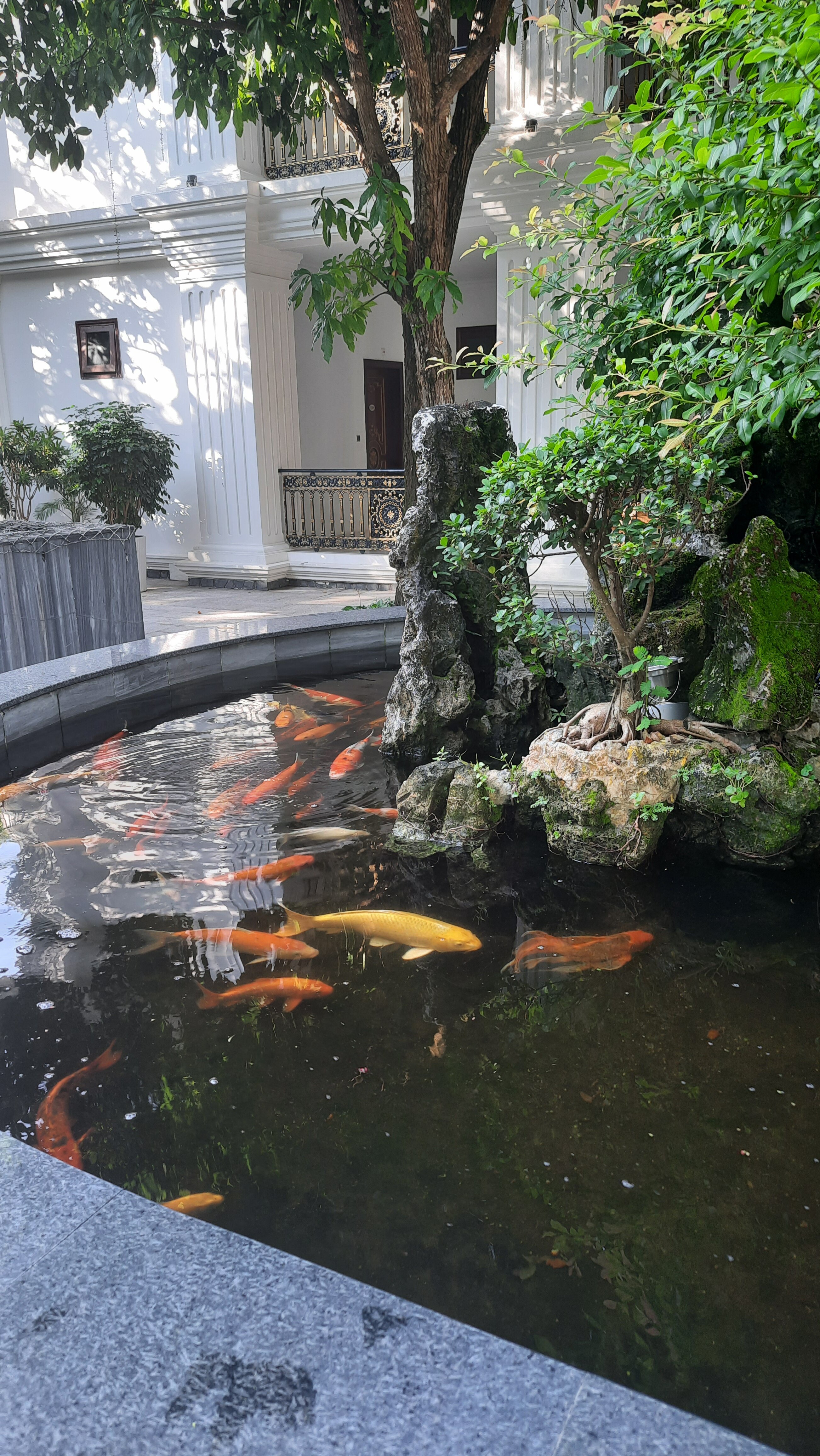 Фото Thien Thanh Phu Quoc Resort