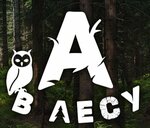 A V Lesu (selo Zakharovo, 39А), glamping