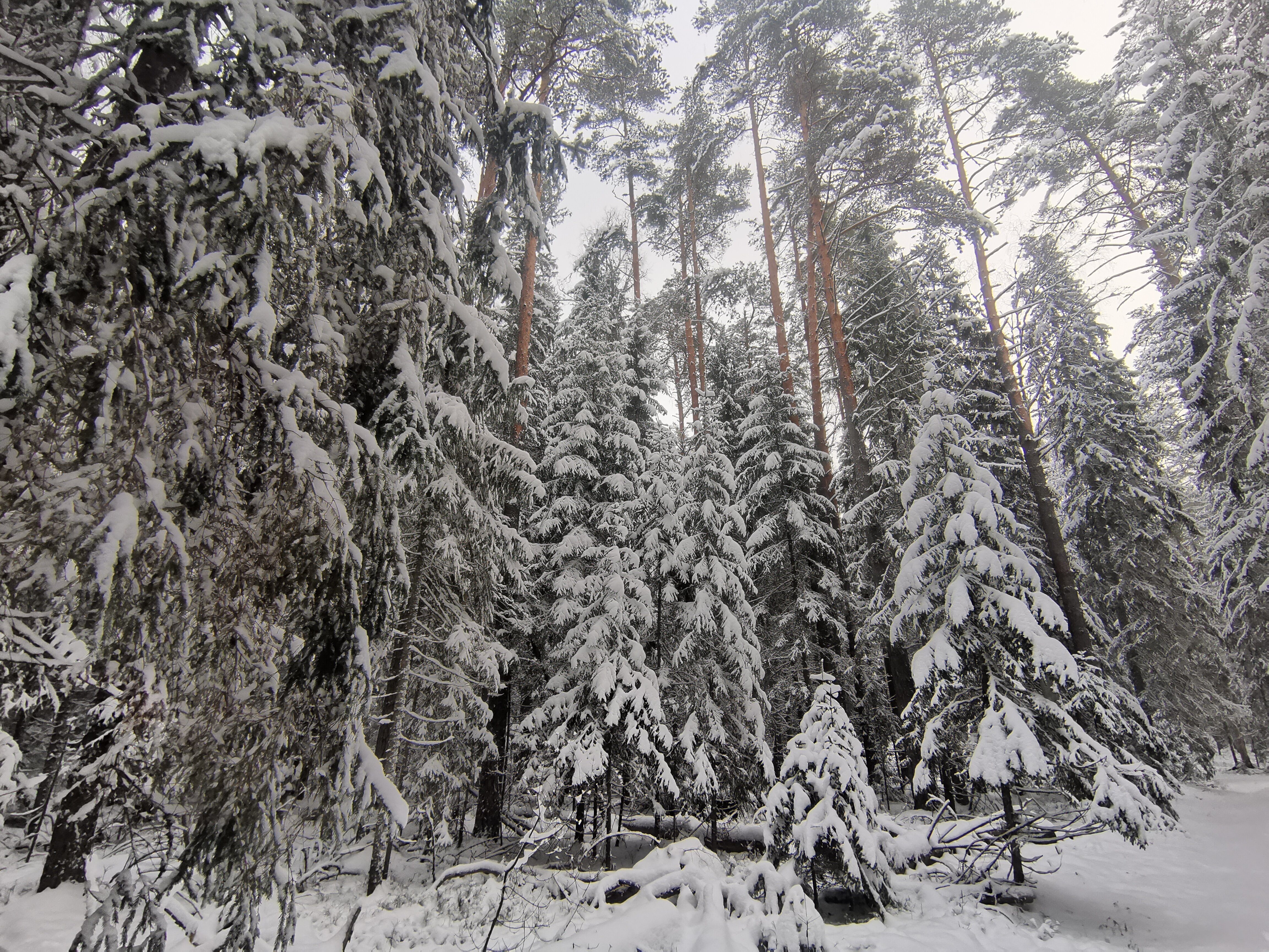 Фото Красный бережок