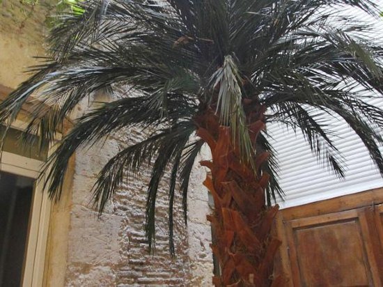 Фото LIFE Marseille VP Hotel