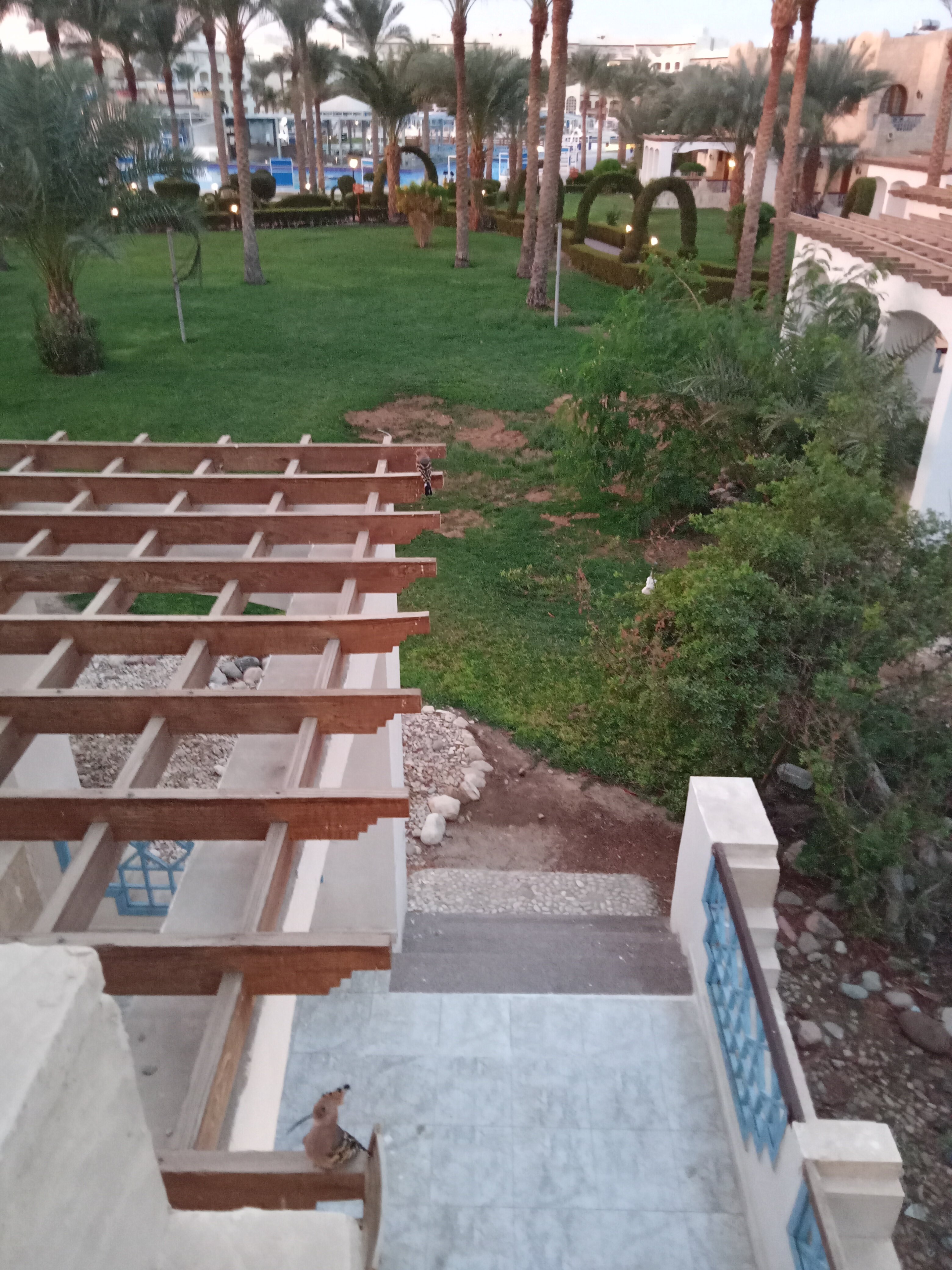 Фото Royal Lagoons Resort & Aquapark