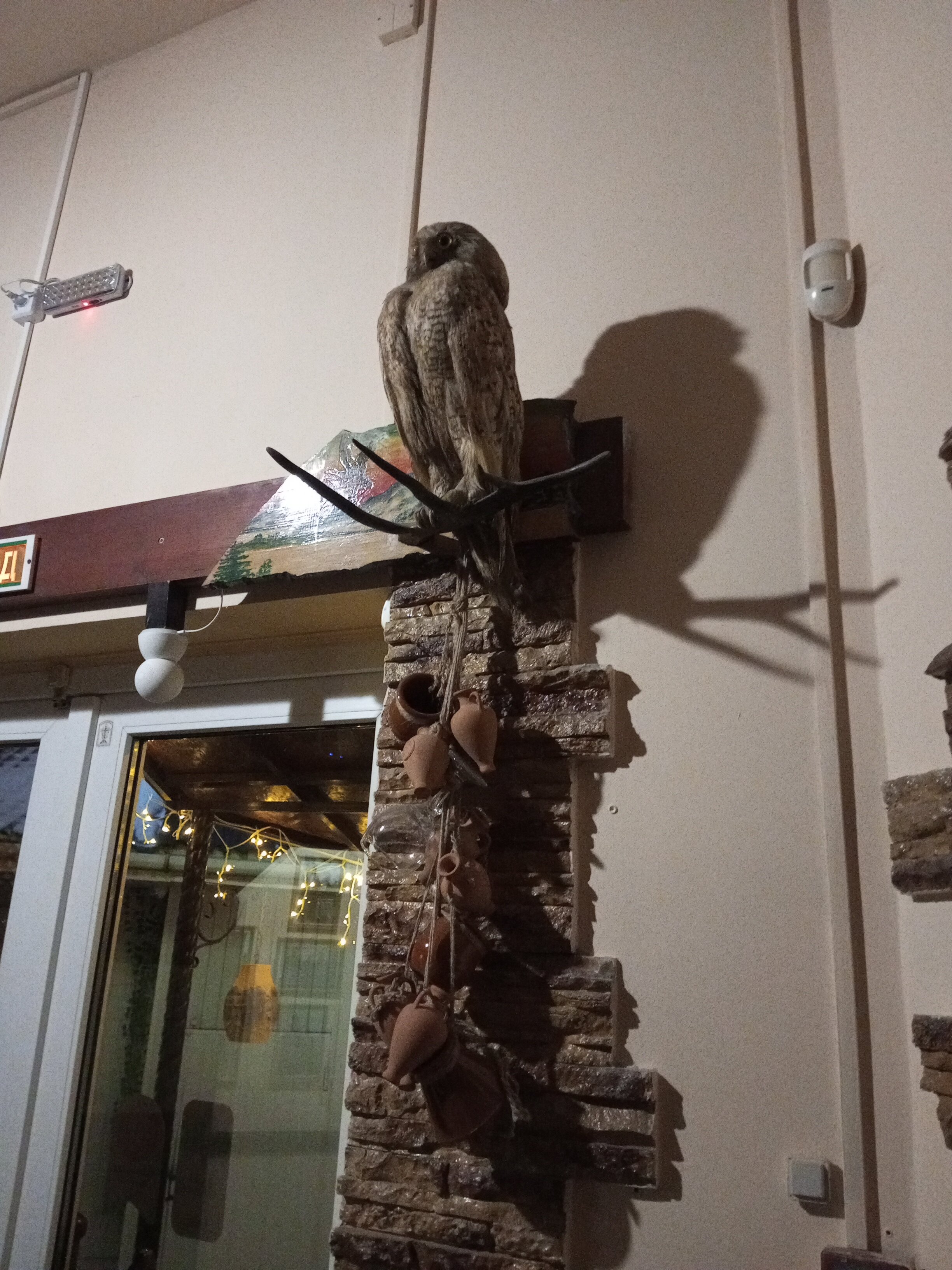 Фото Викинг