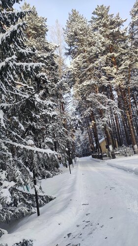 Дом отдыха Морозово в Новосибирской области
