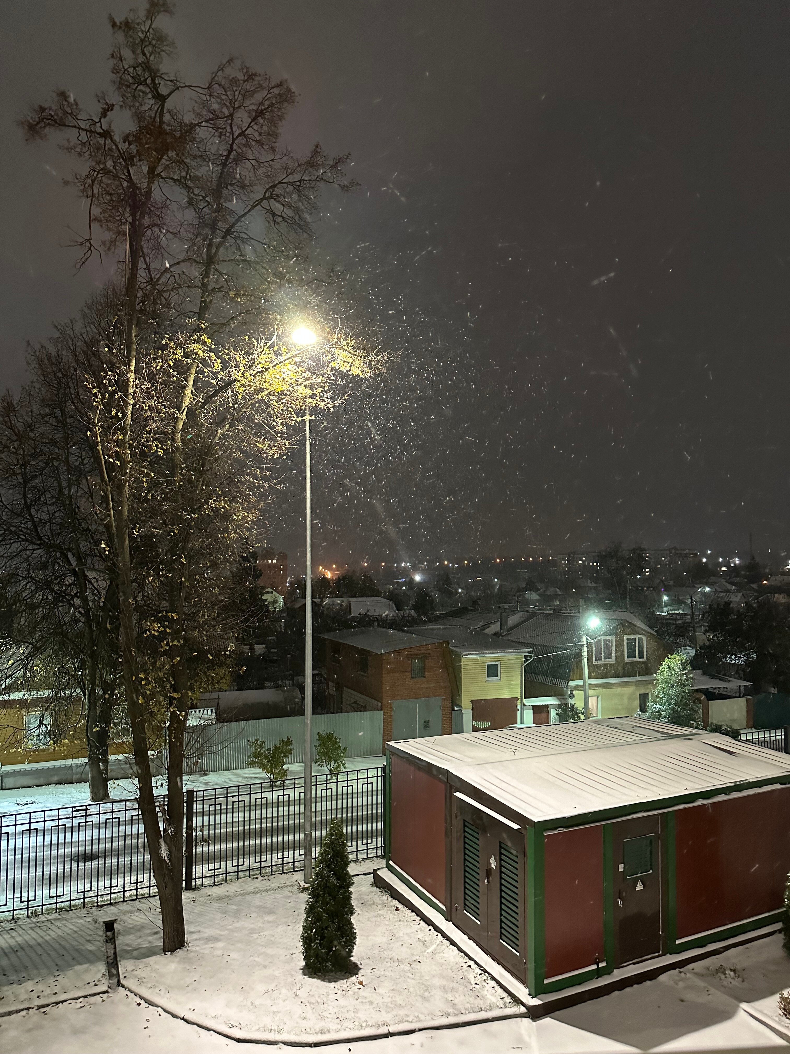 Фото Тулица