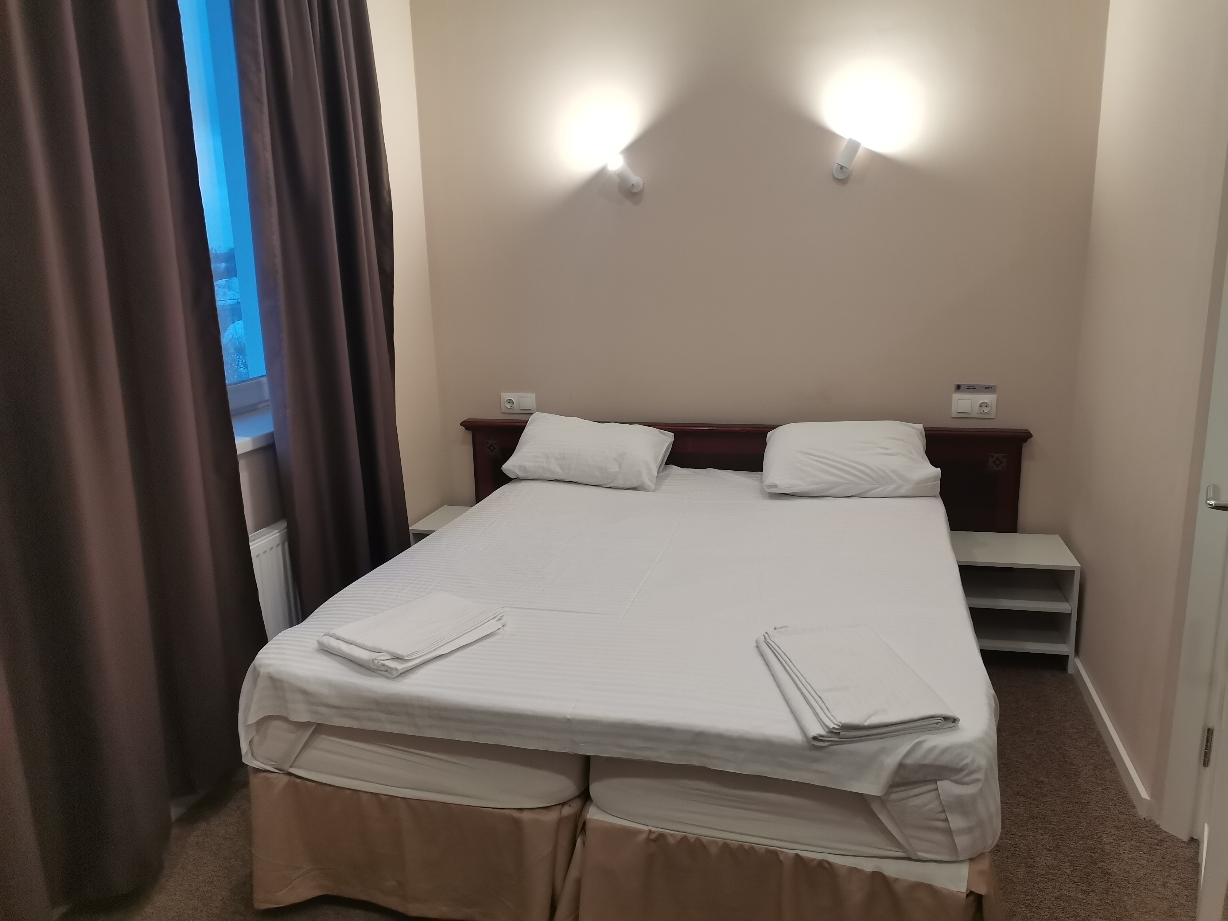 Фото Сова в Шереметьево