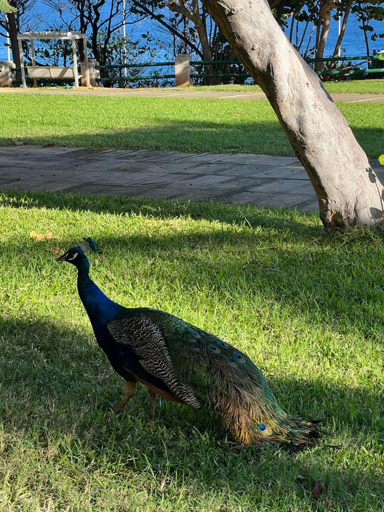 Фото Национальный отель Кубы