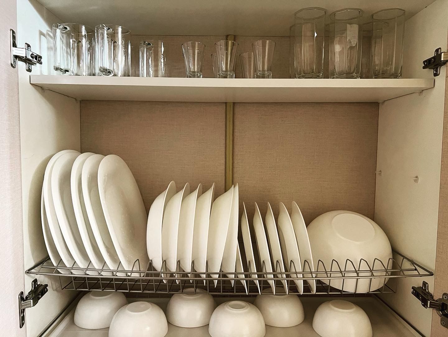 Фото Дикая Лошадь