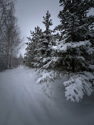 Смотреть порно: Күйеуі трахает оның большая әйелі HD