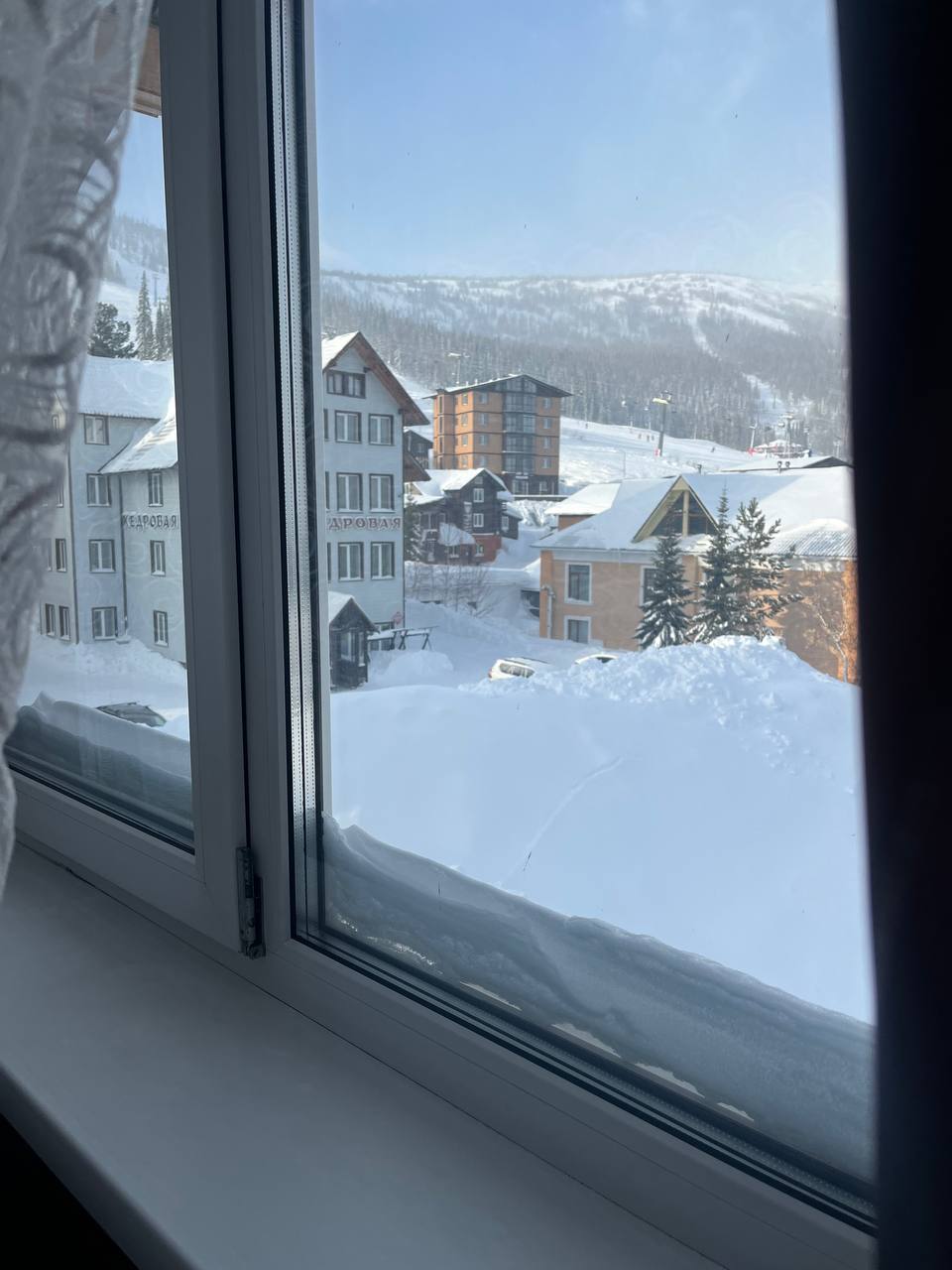 Фото Медведица