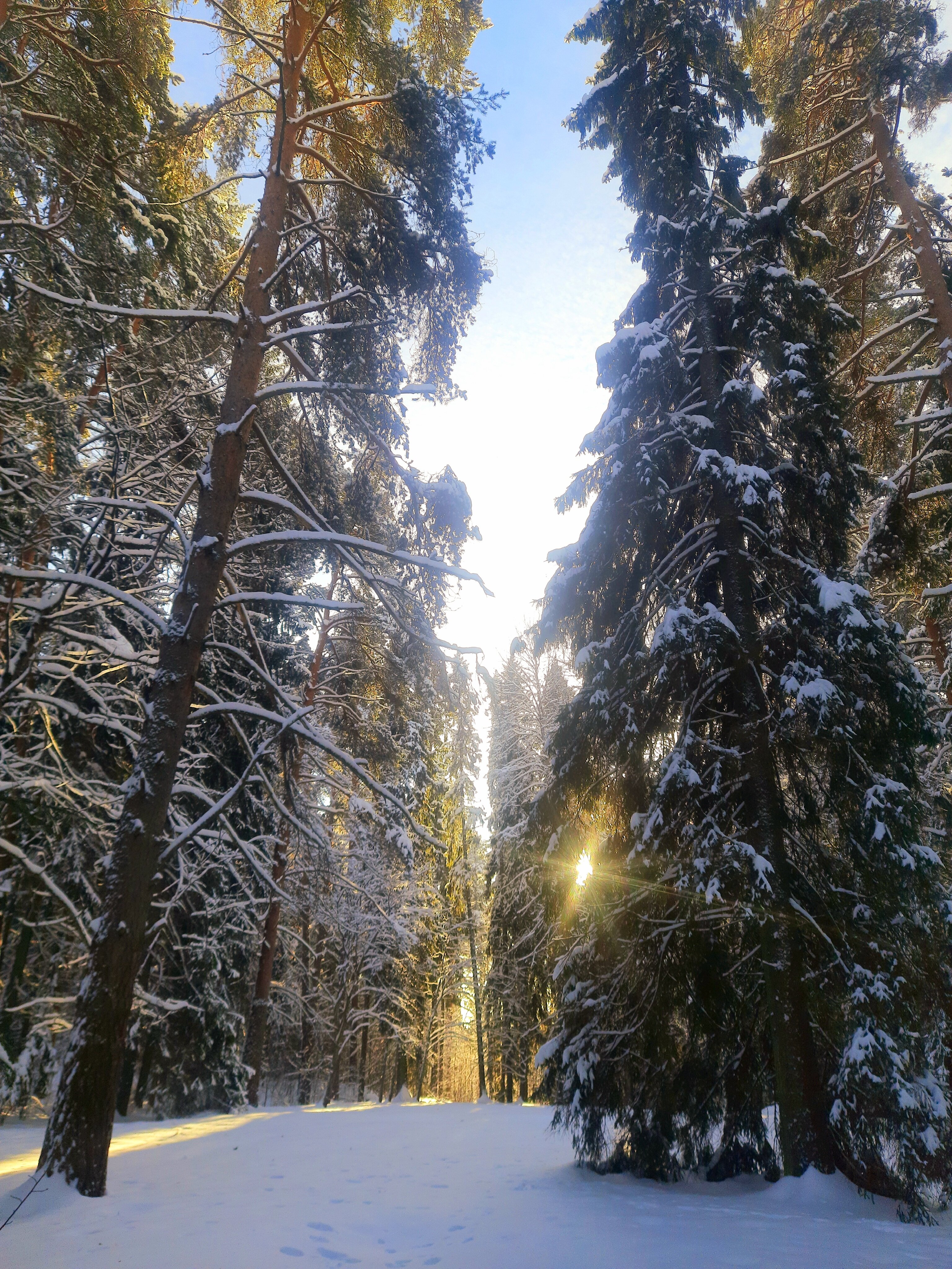 Фото Санаторий Щелыково