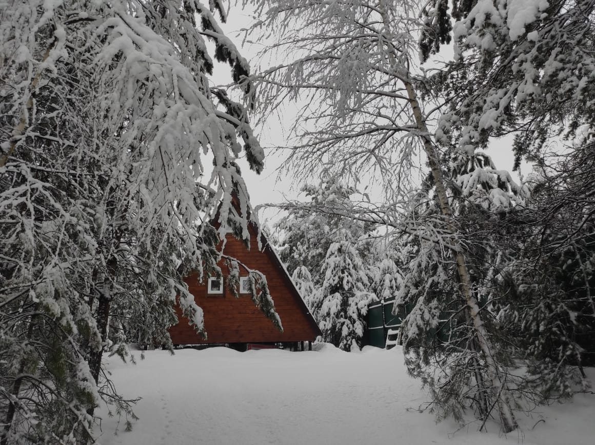 Фото Мишкино