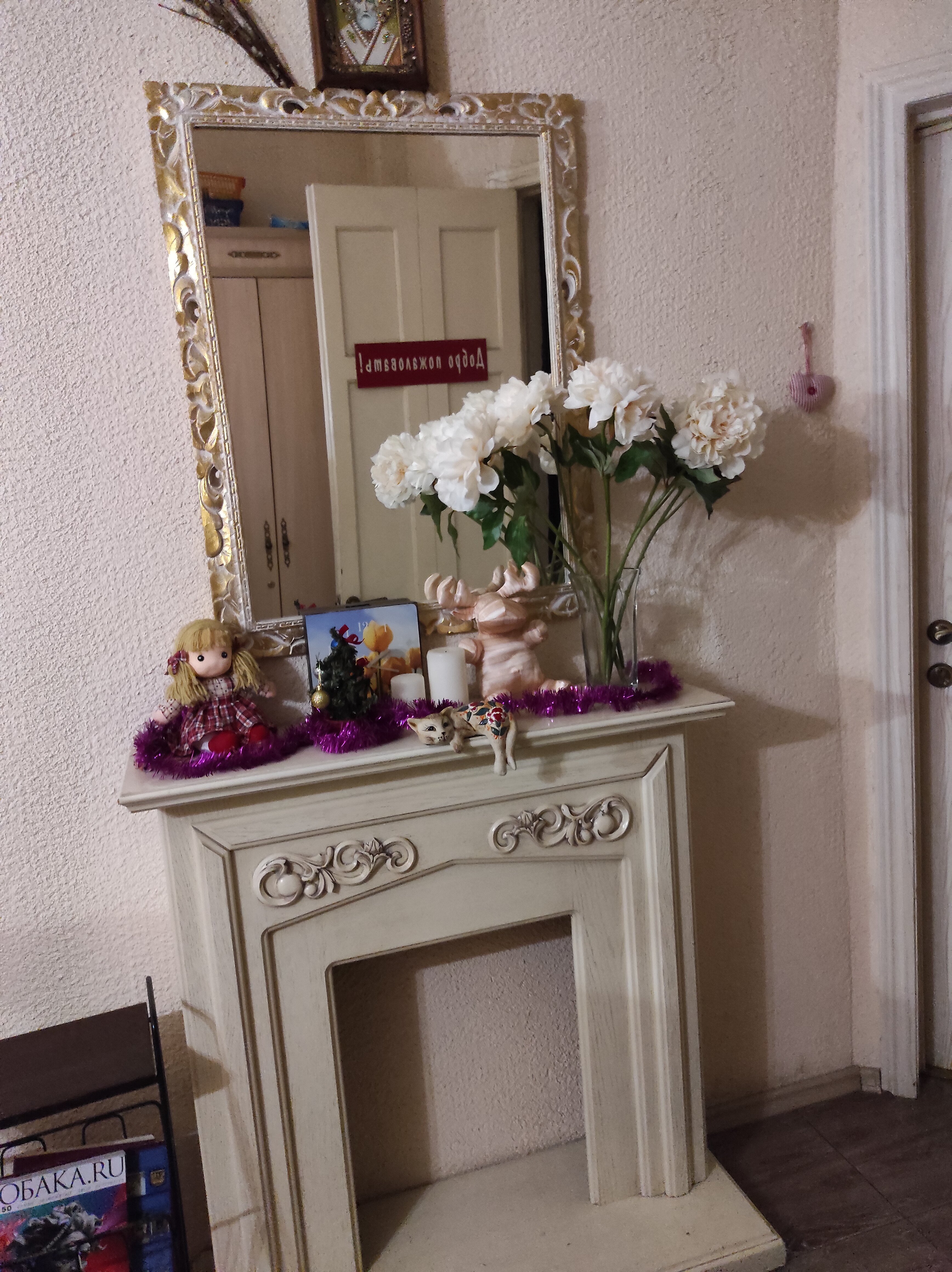 Фото Старый кот