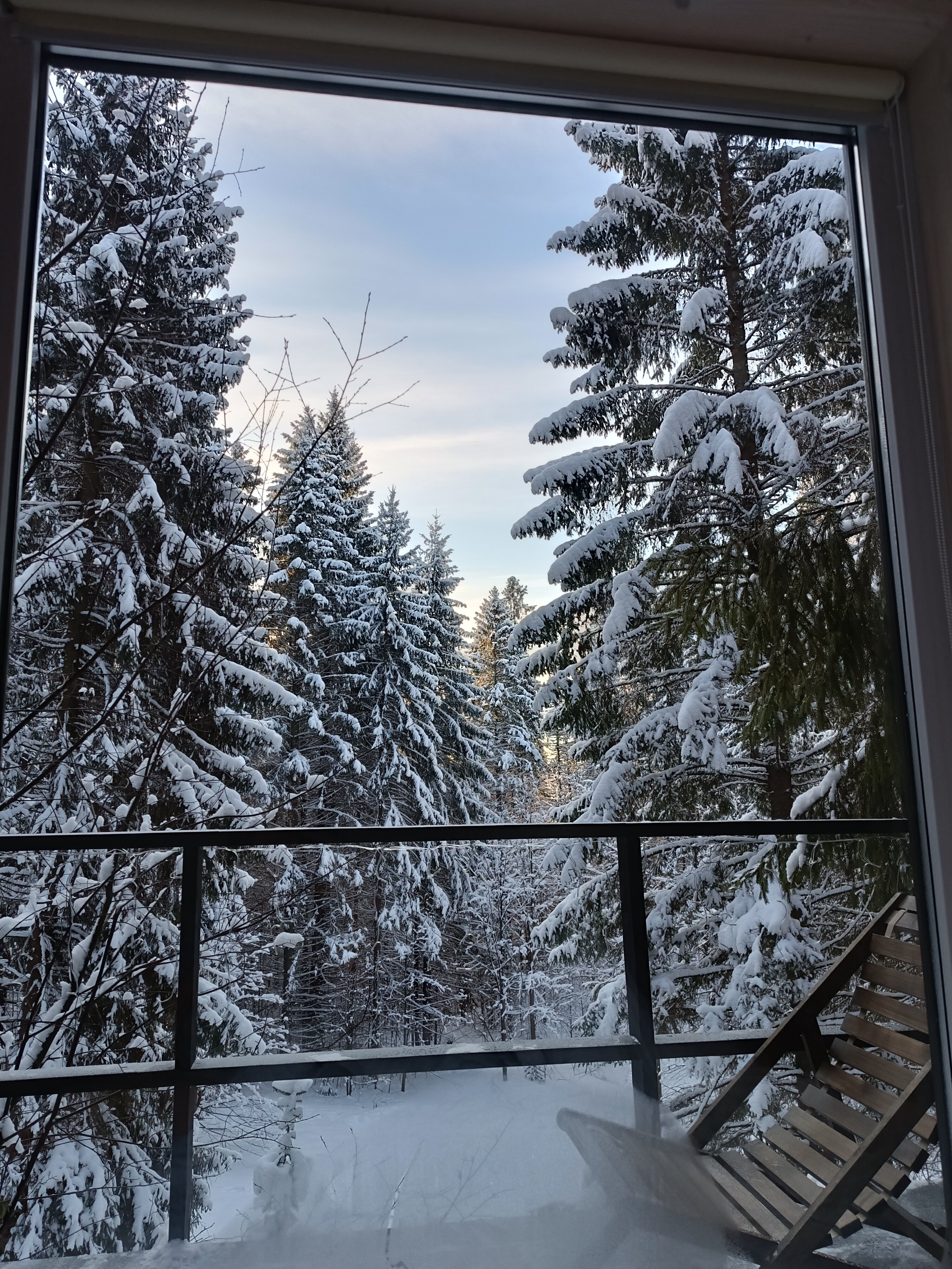 Фото Опушка