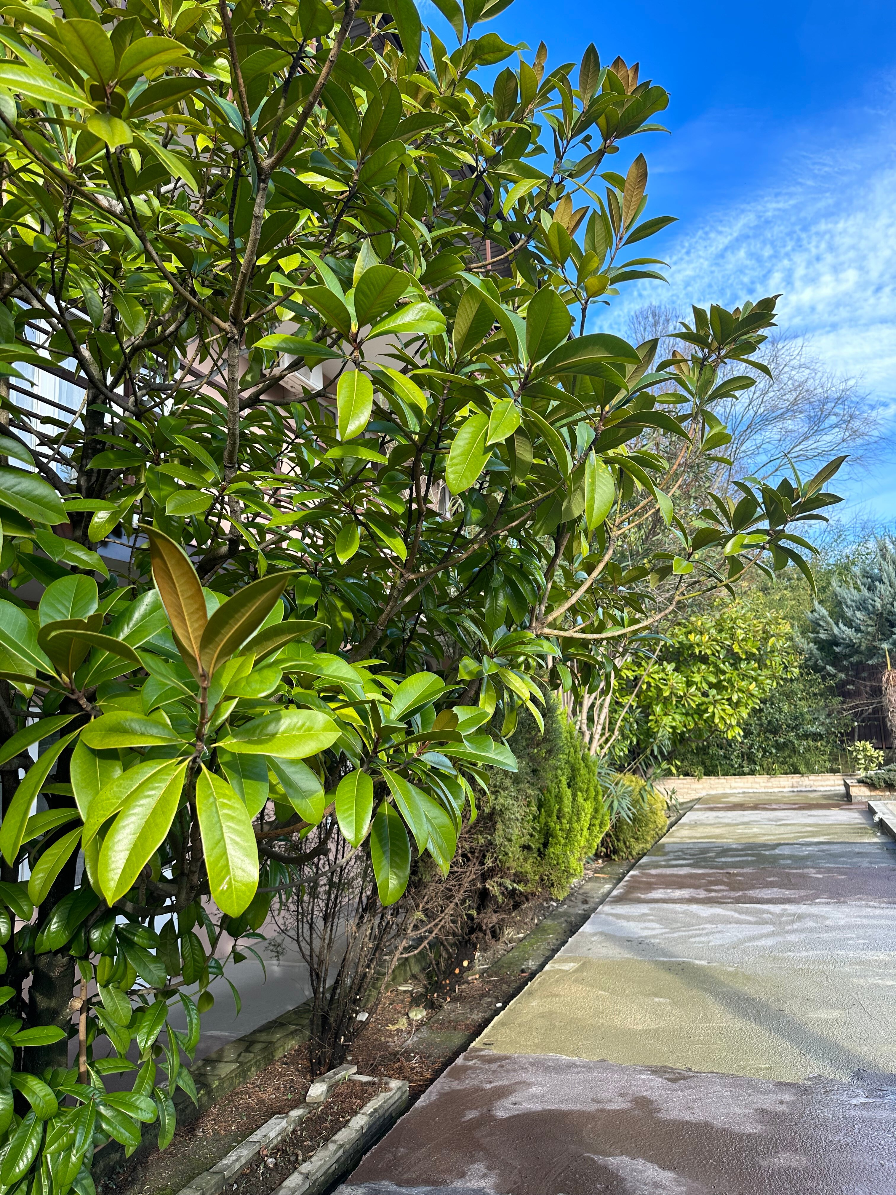 Фото У Елены