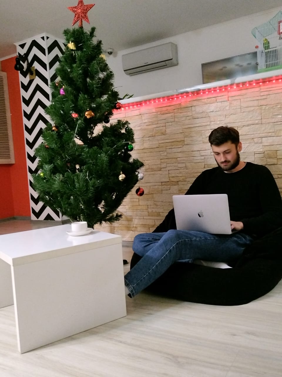 Фото Квартира 31