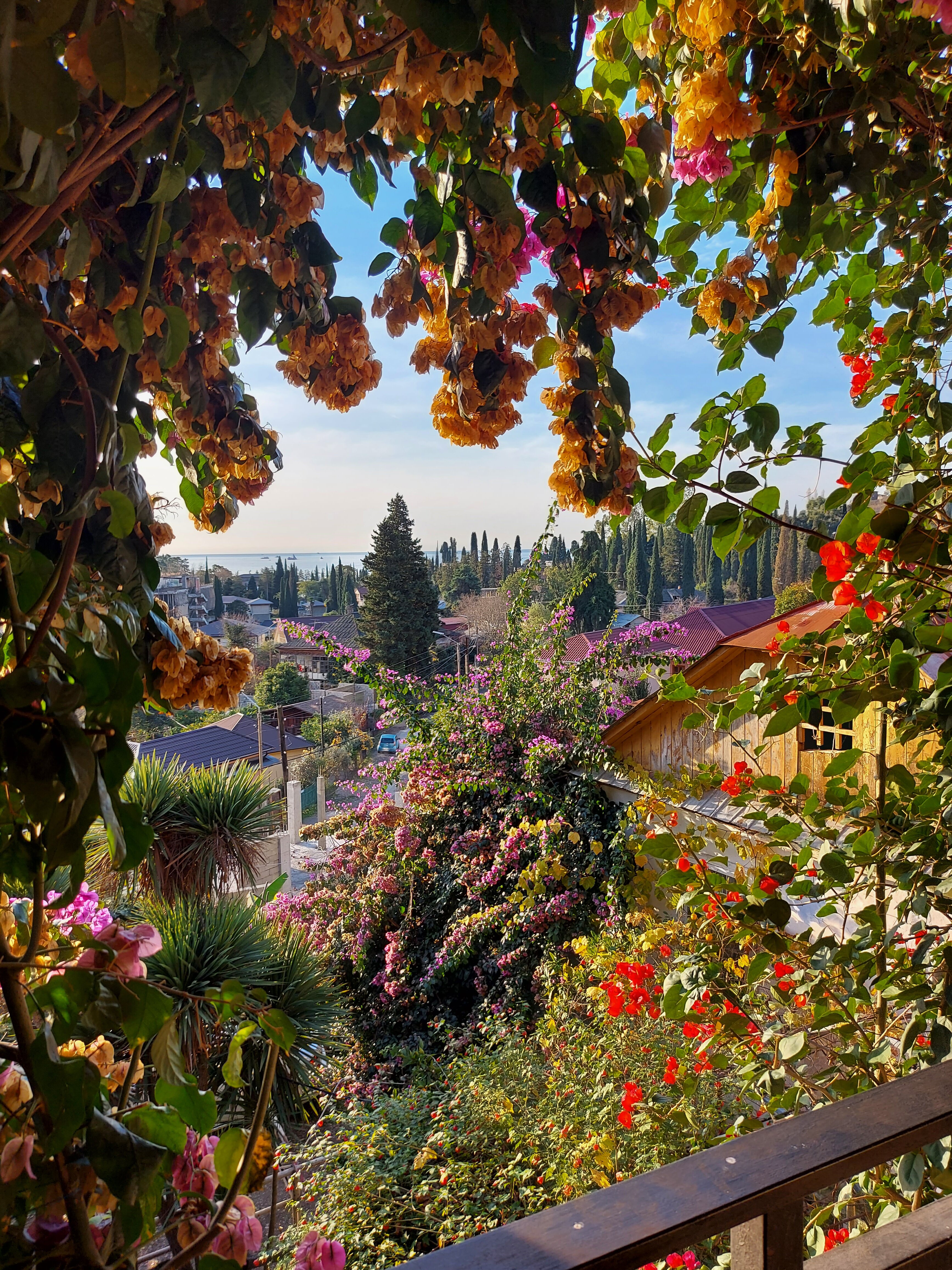 Фото Эль Платано