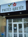 Rastet Cvetet (Leninskogo Komsomola Street, 3Б), flower shop
