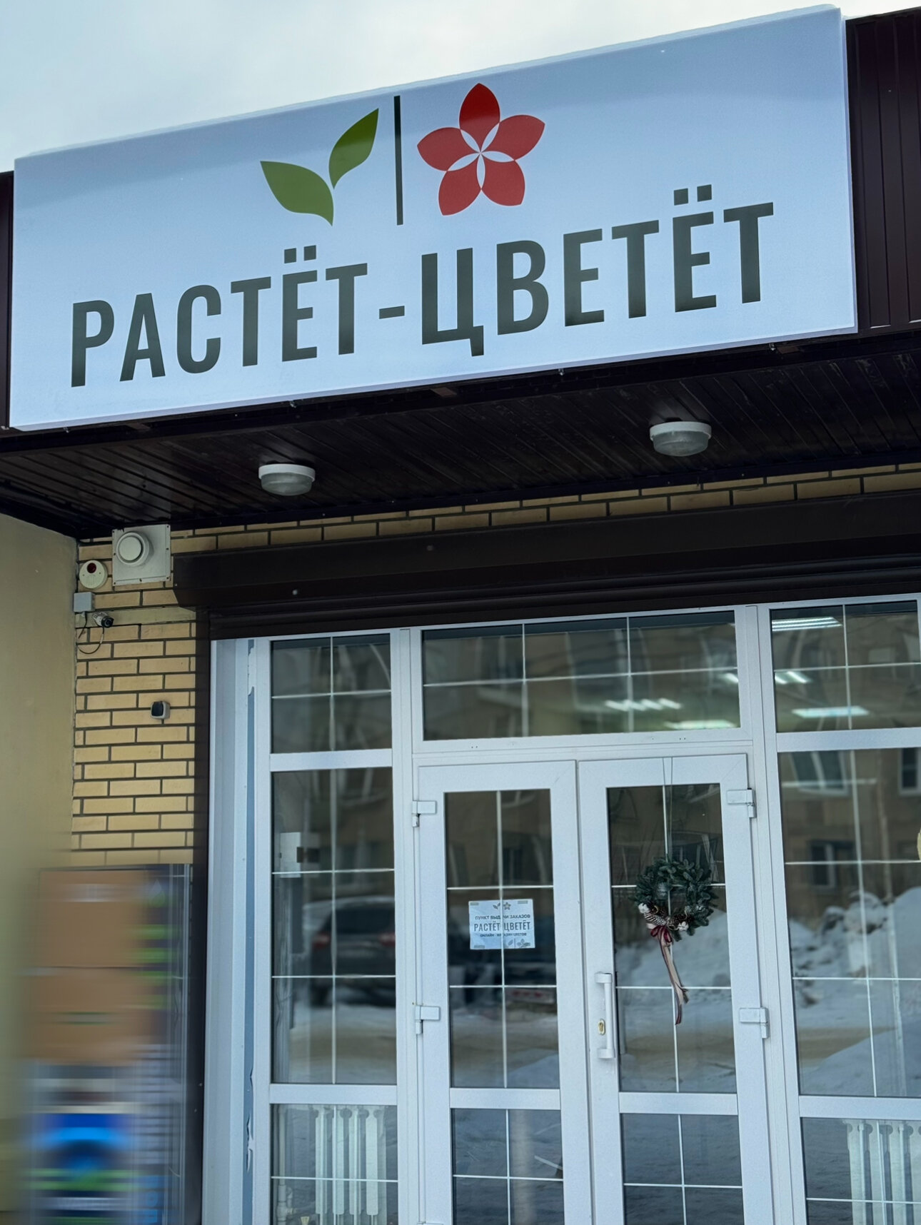 Растет цветет ул ленинского комсомола 3б фото