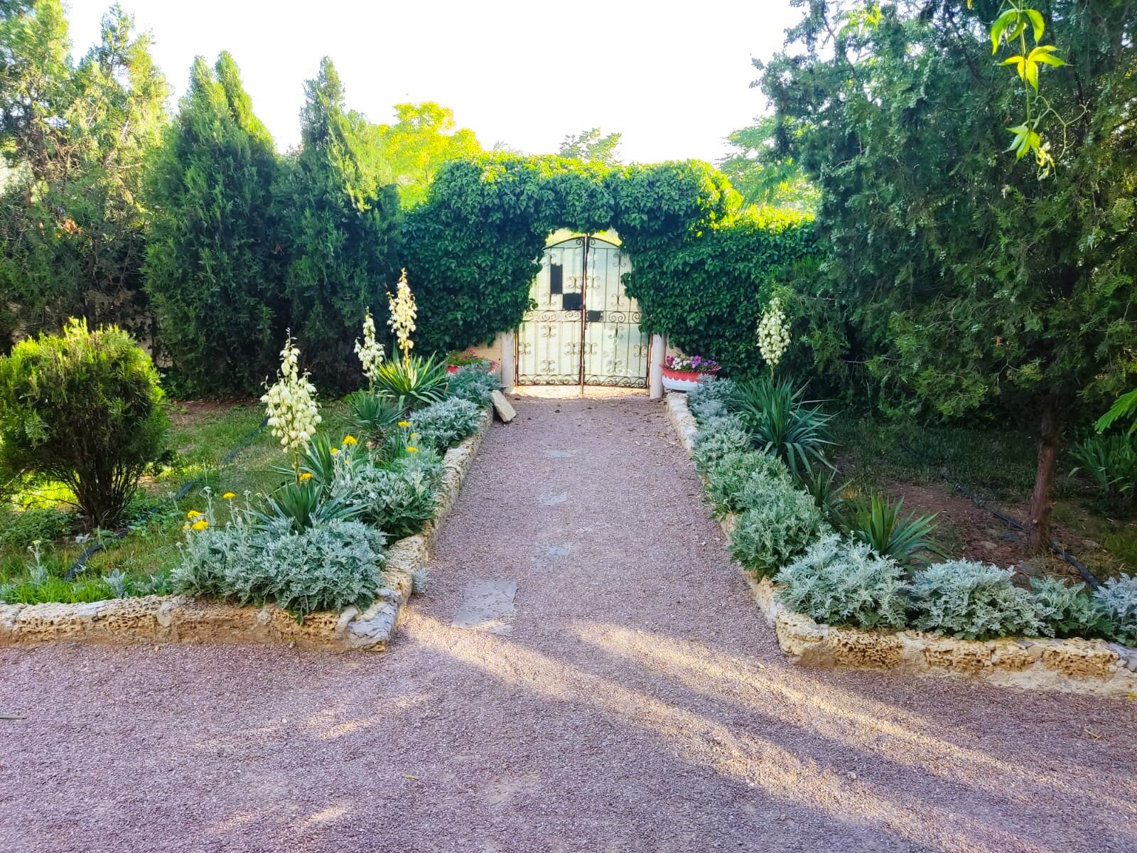 Фото АтлантикА