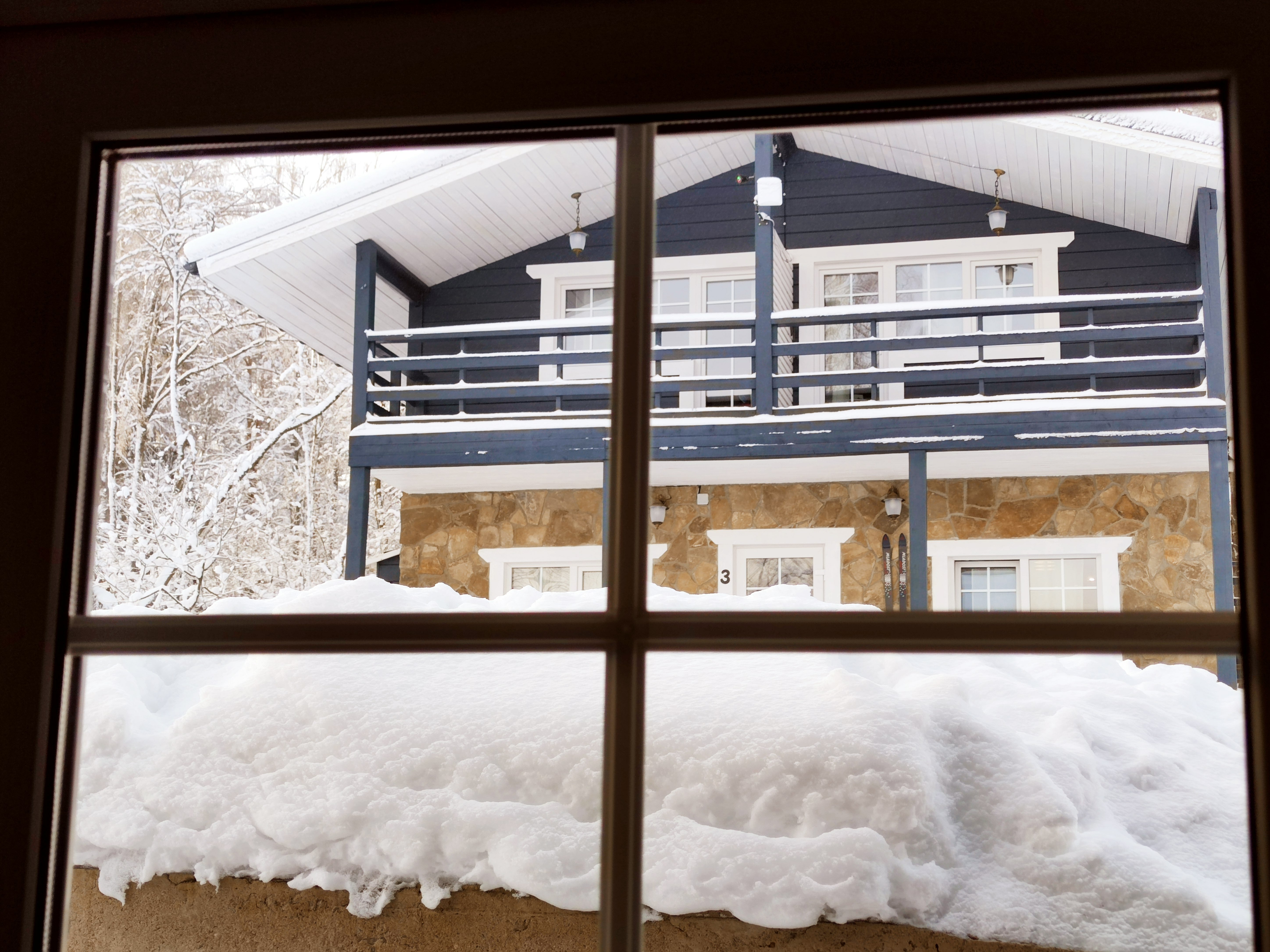 Фото Талони