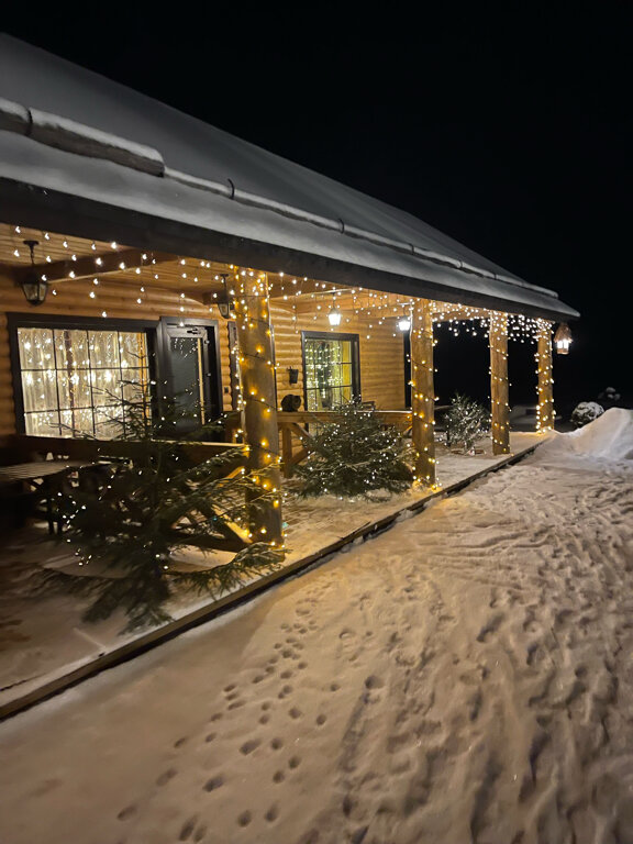 Фото У Лукоморья