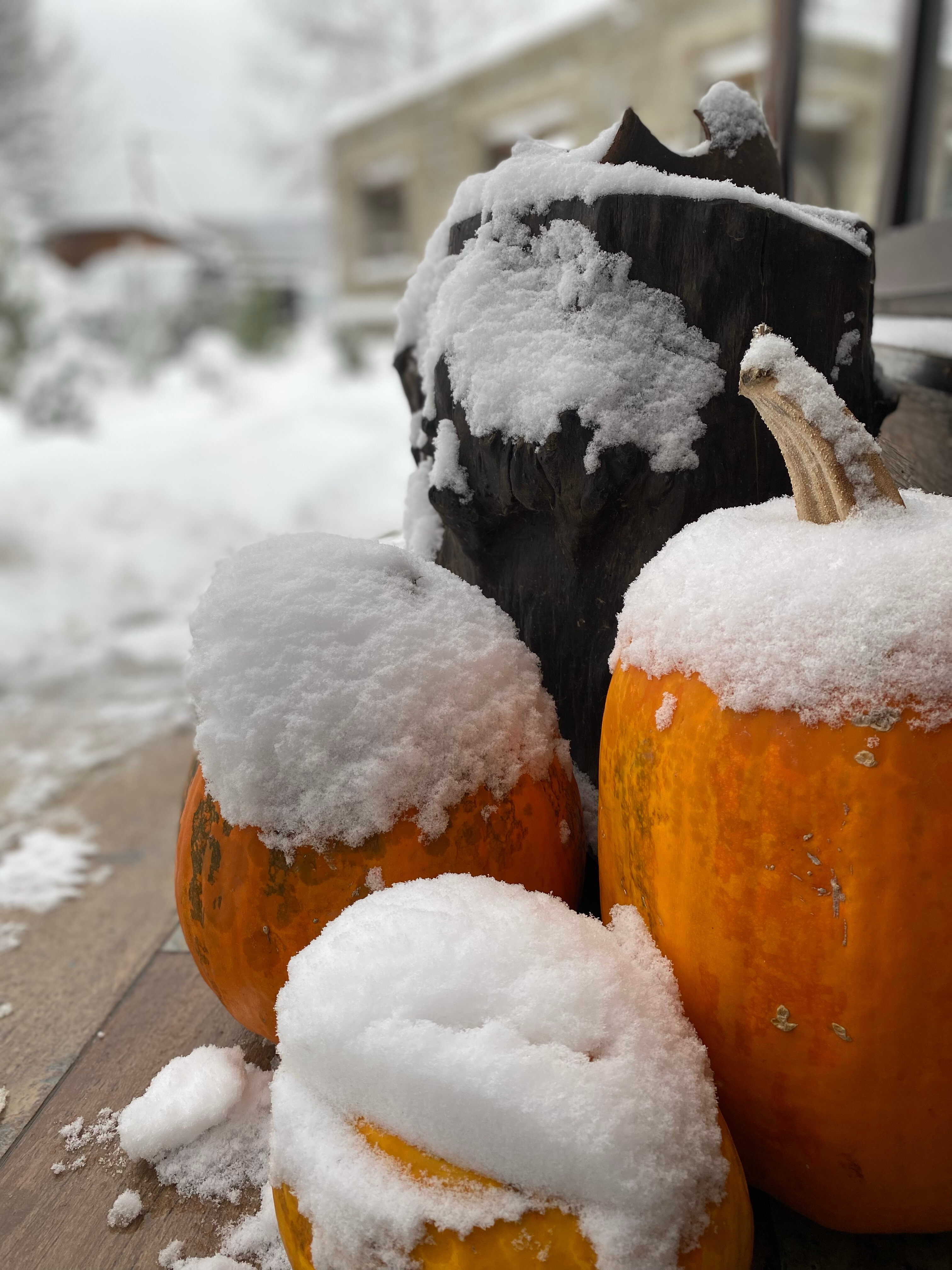 Фото Усадьба Заповедная