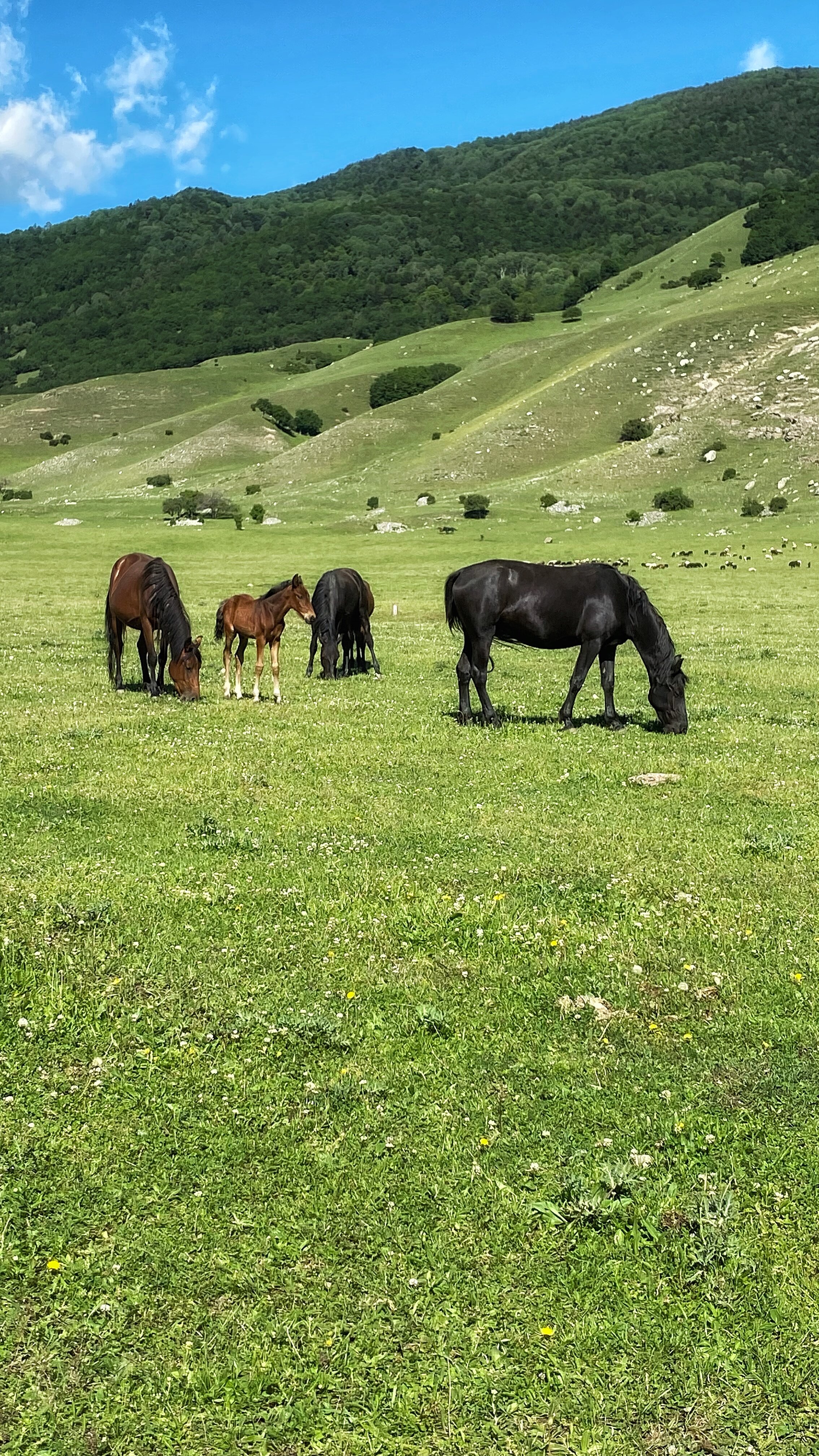 Фото Снежная королева