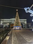 Christmas tree (Rostov-on-Don, Sovetov Square), city tree