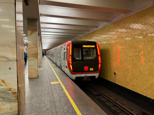 Станция метро Волгоградский проспект (Moscow, Volgogradsky Avenue, вл25А), metro station