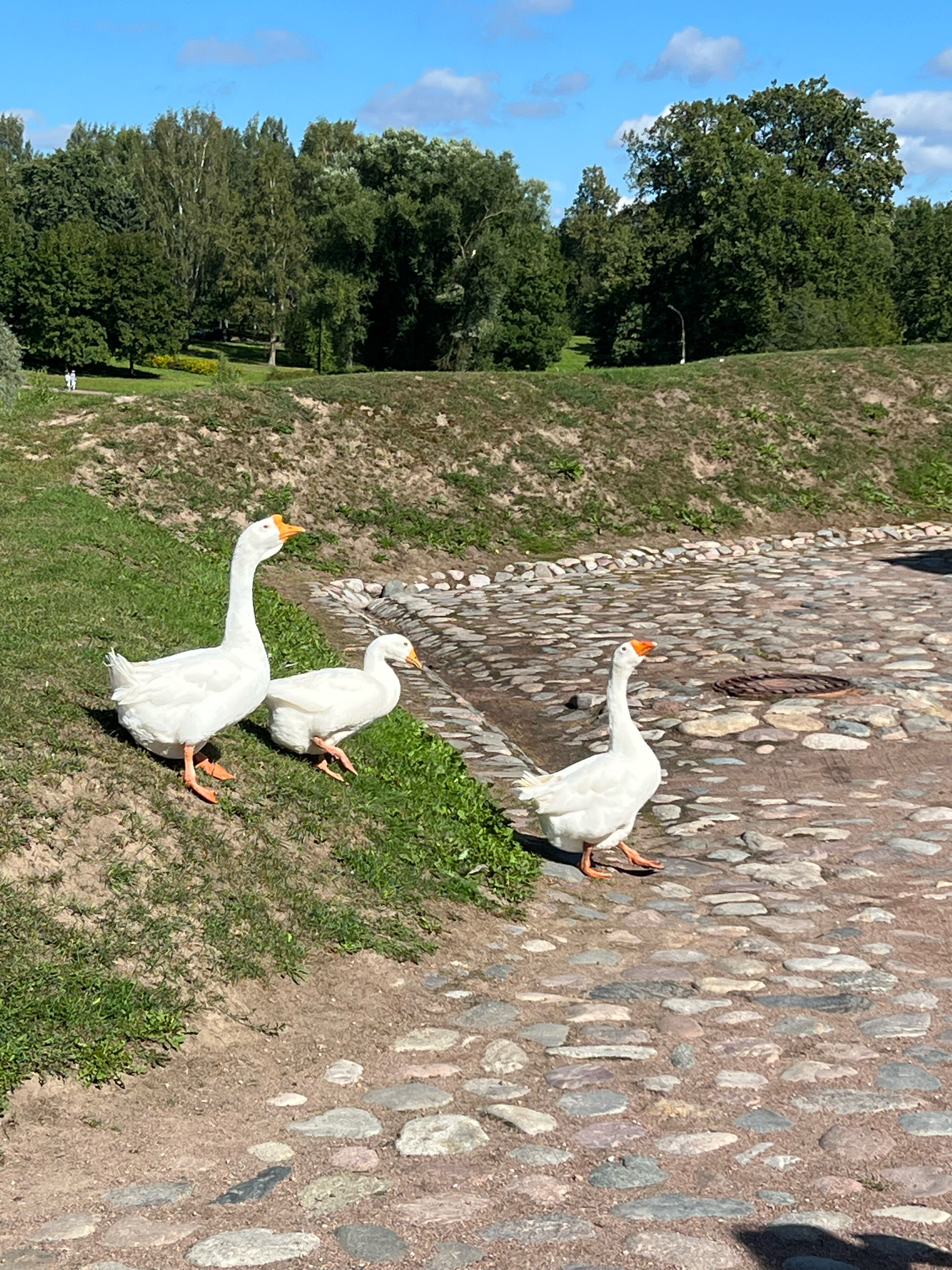 Фото Замок Бип