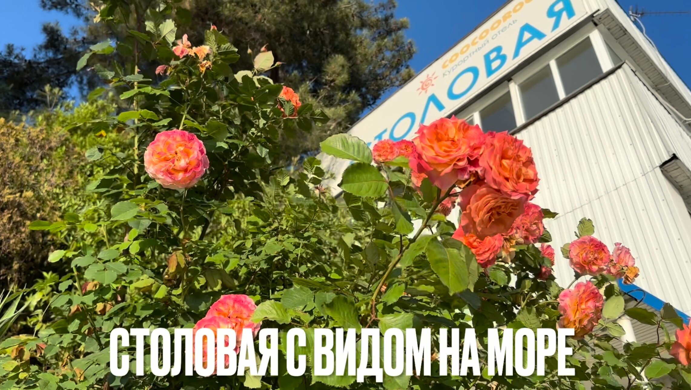 Фото Coocoorooza