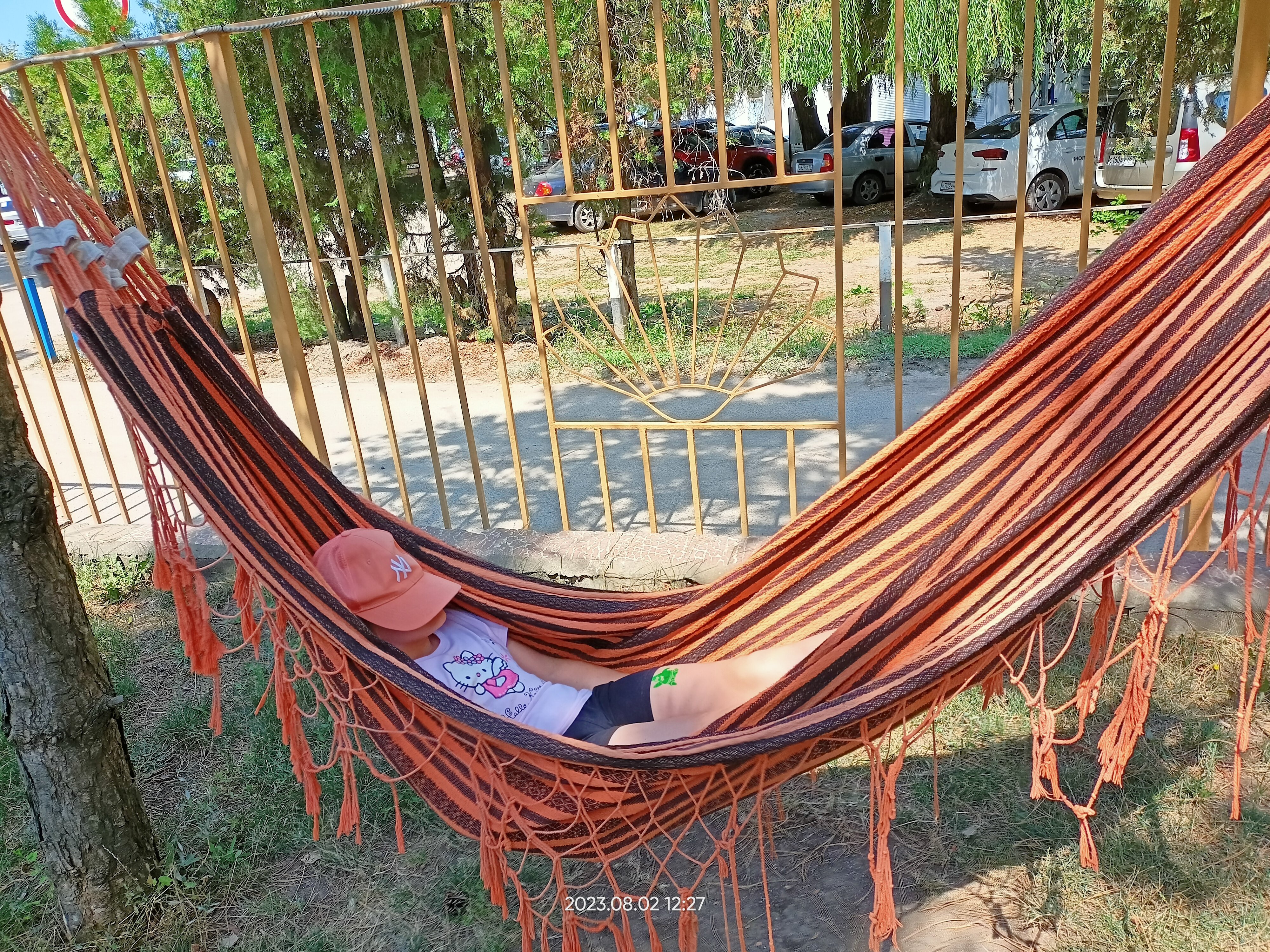 Фото Астерия