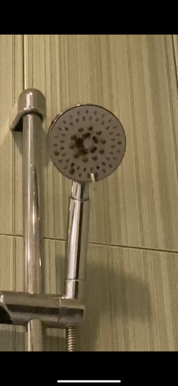 Фото New Baku Hotel