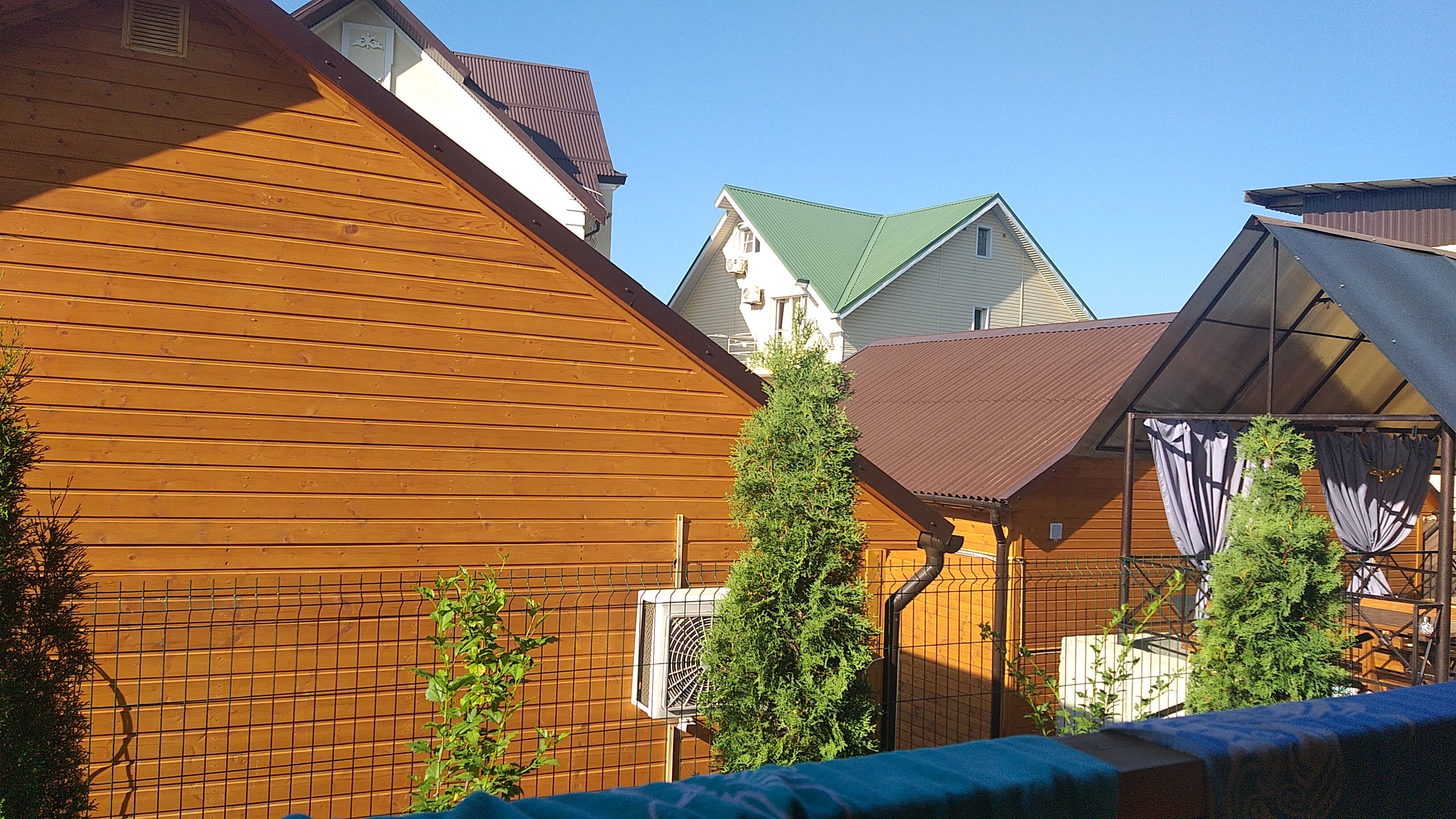 Фото Дельфин