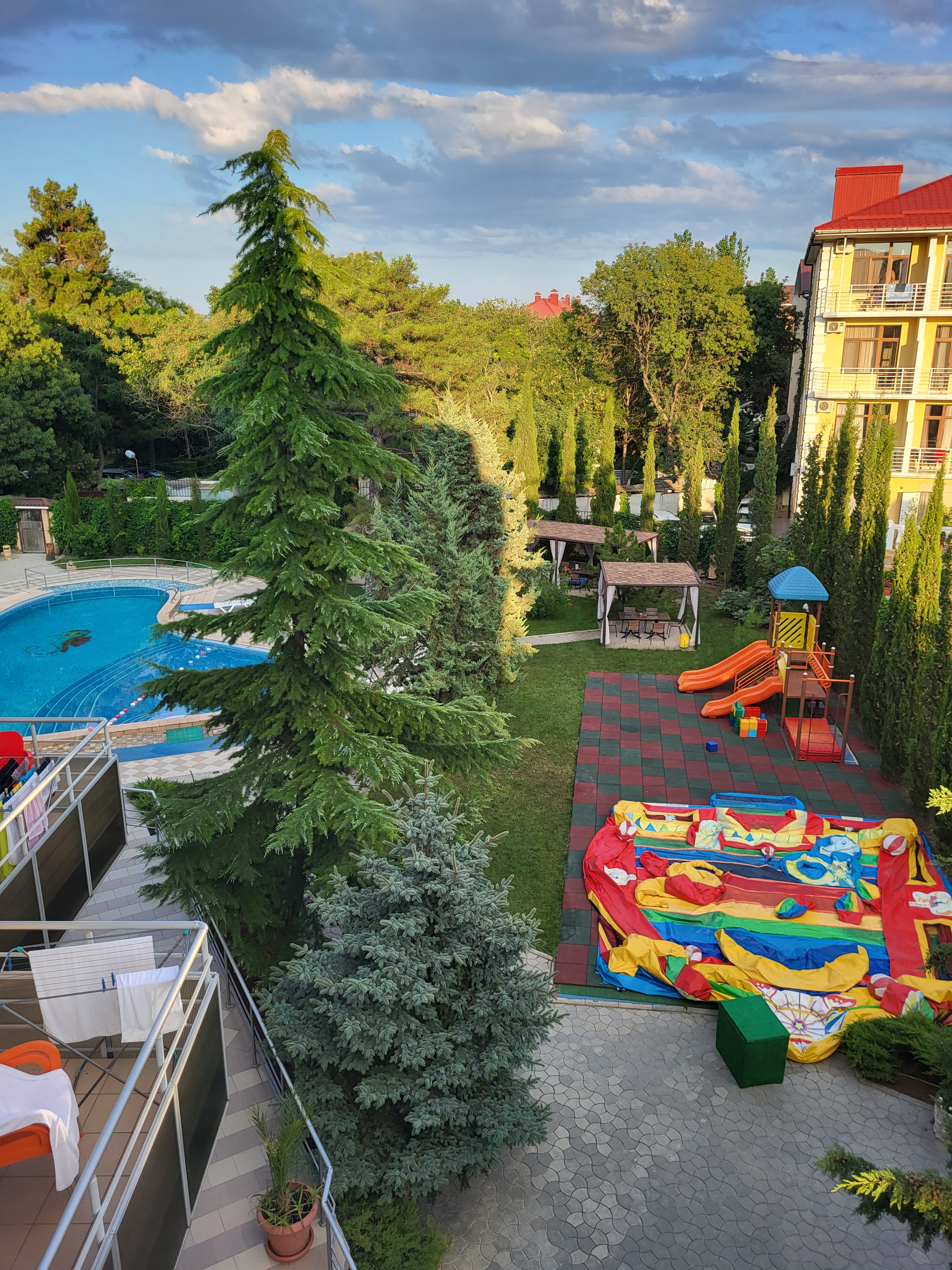 Фото Морской конек