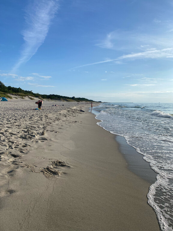 Фото Золотая Орхидея