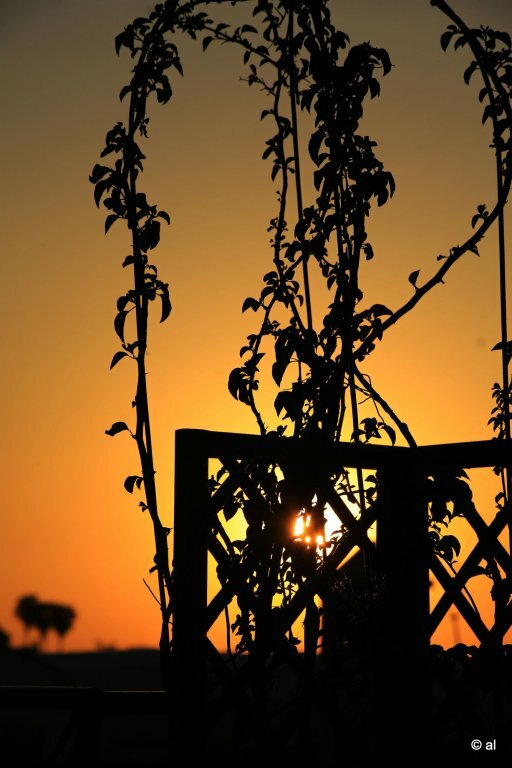 Фото Riad Ilayka