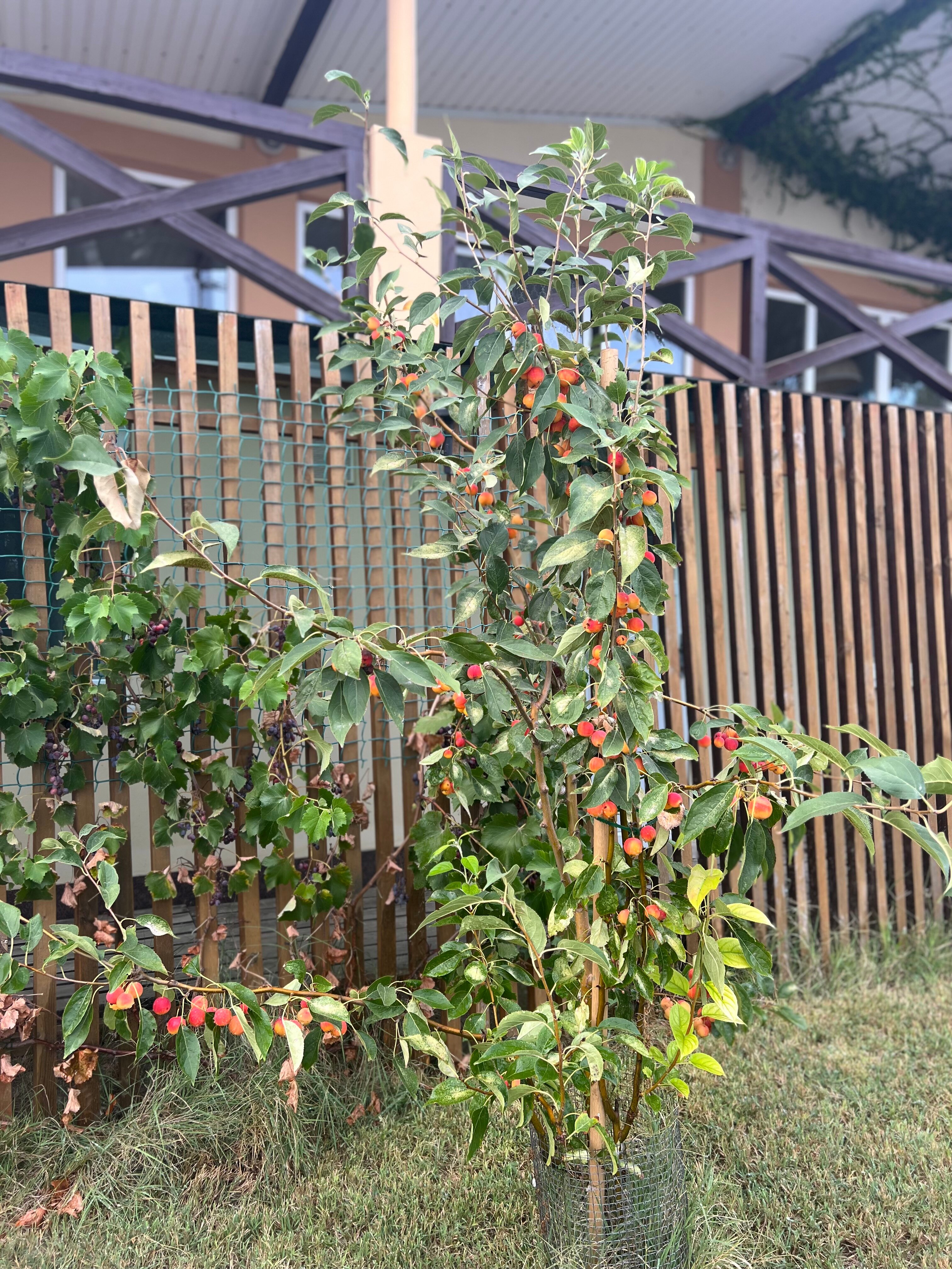 Фото Усадьба Агидель