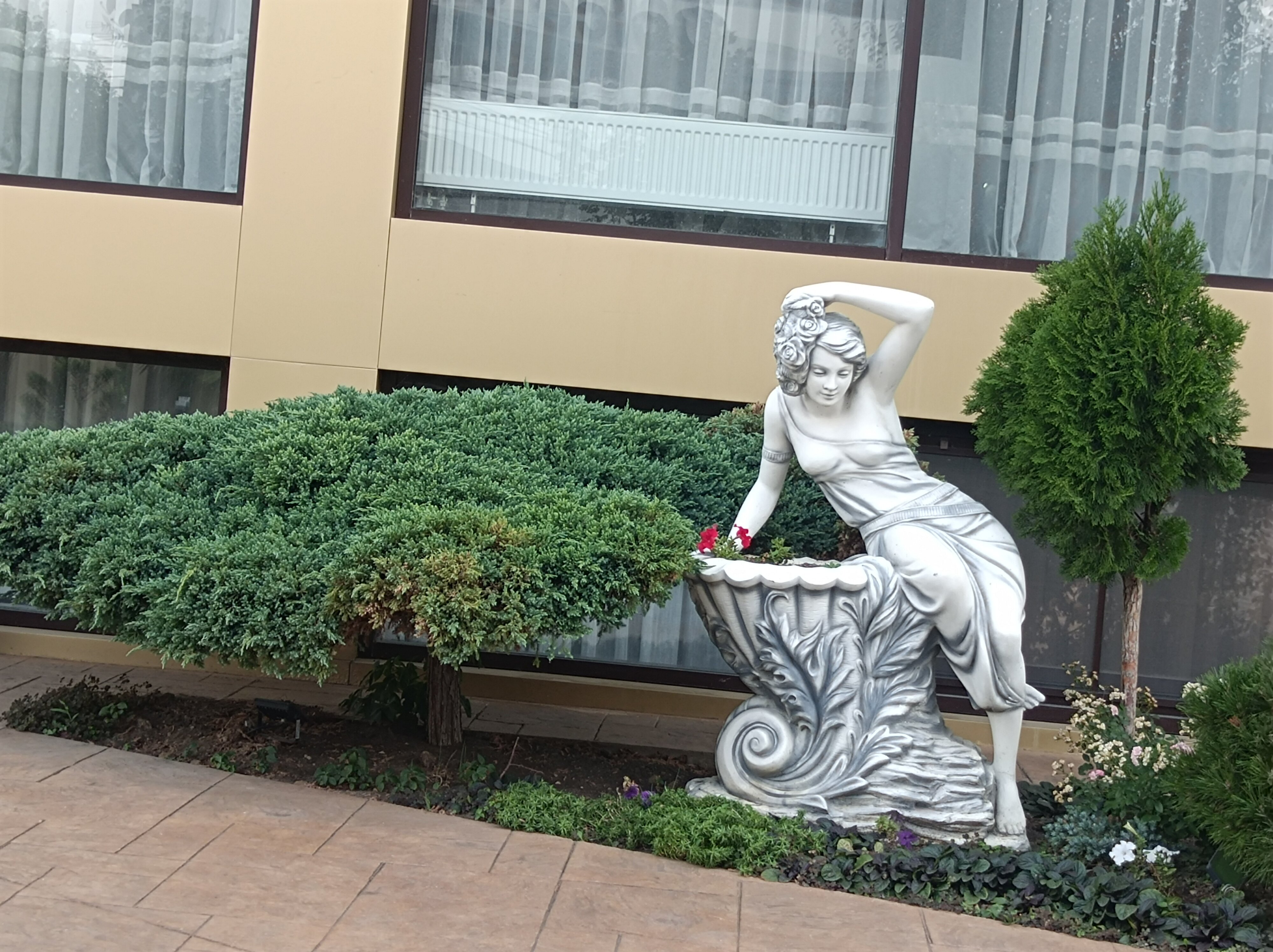 Фото Аврора