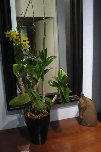 Фото Hotel Nymphenburg