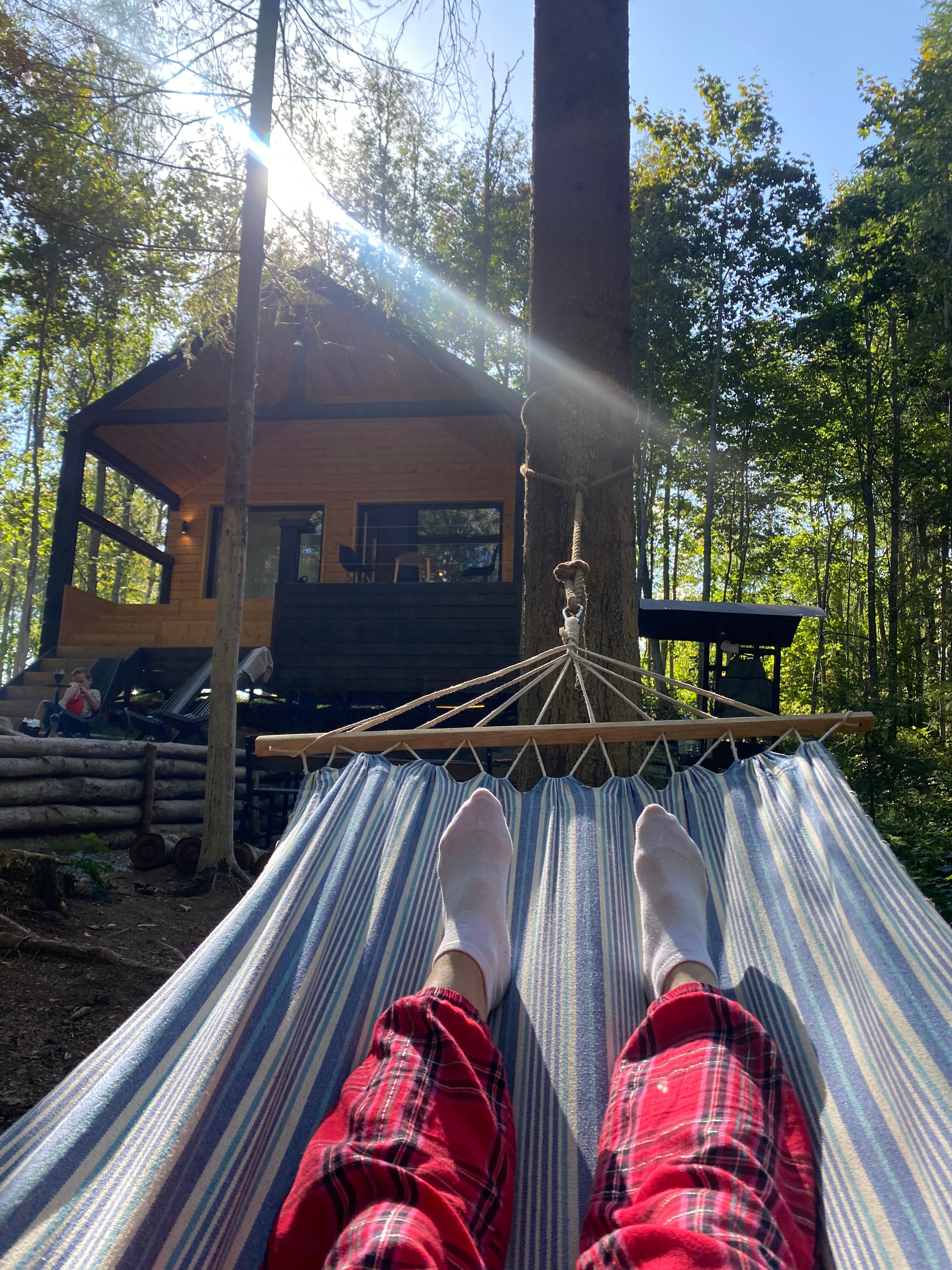 Фото Лес и Гора