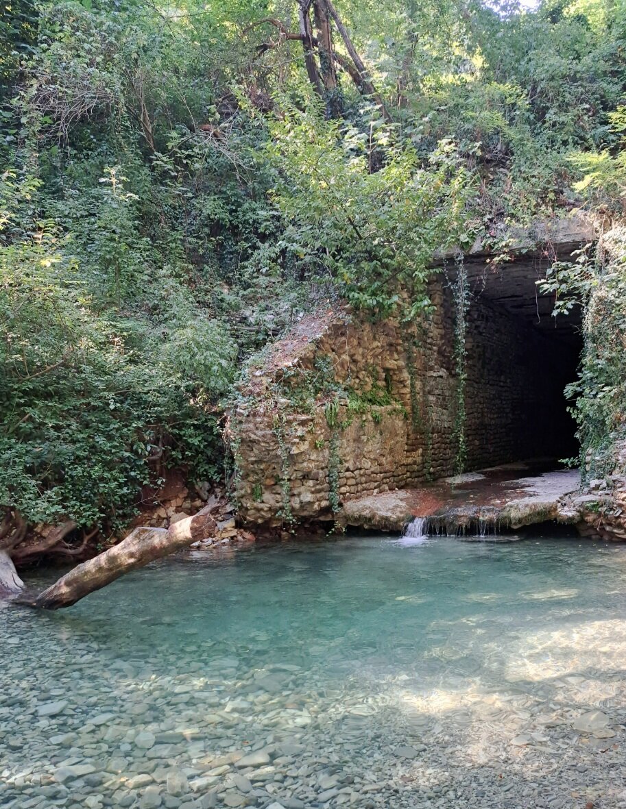 Фото Бамбучок