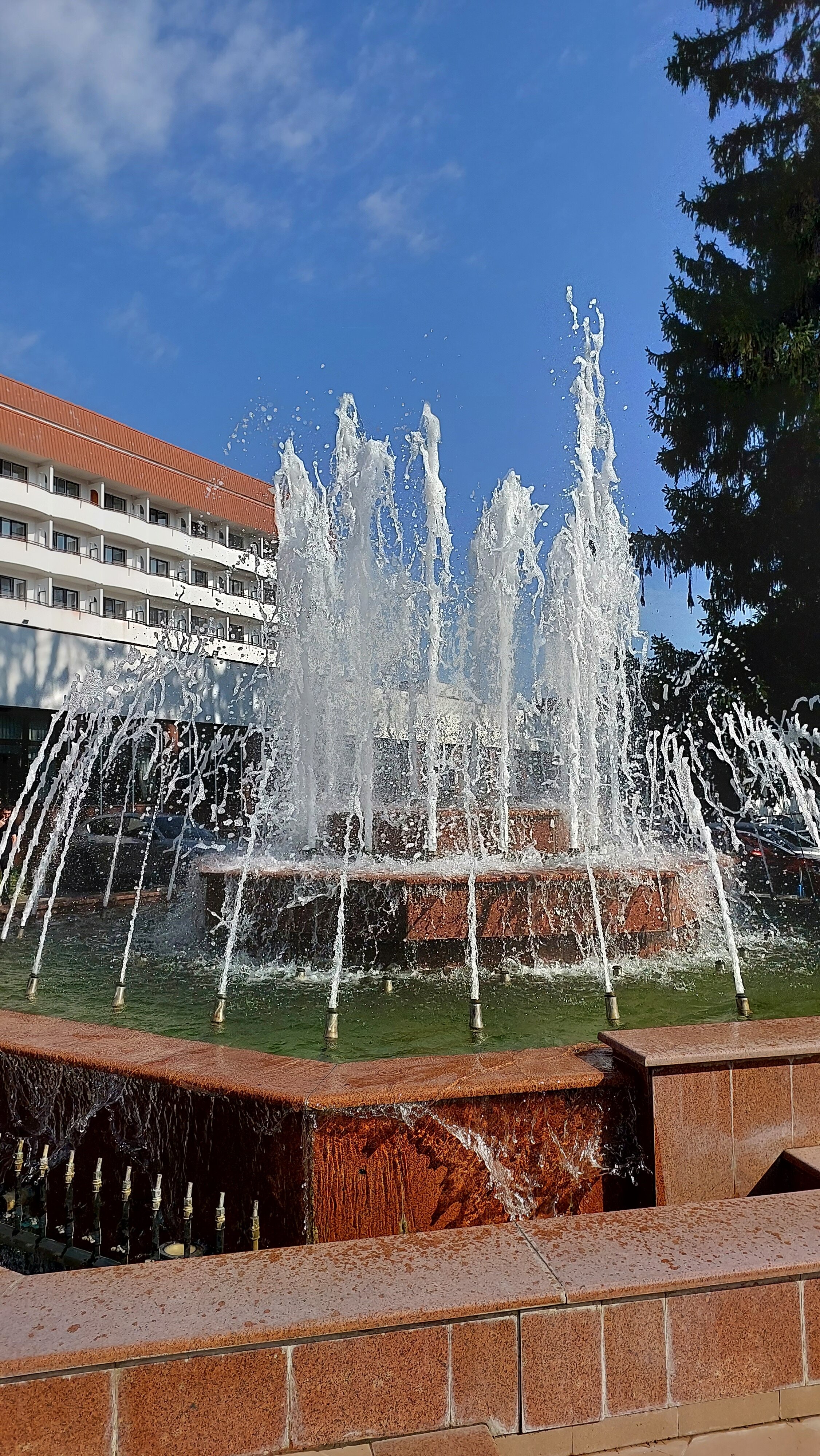 Фото Синдика